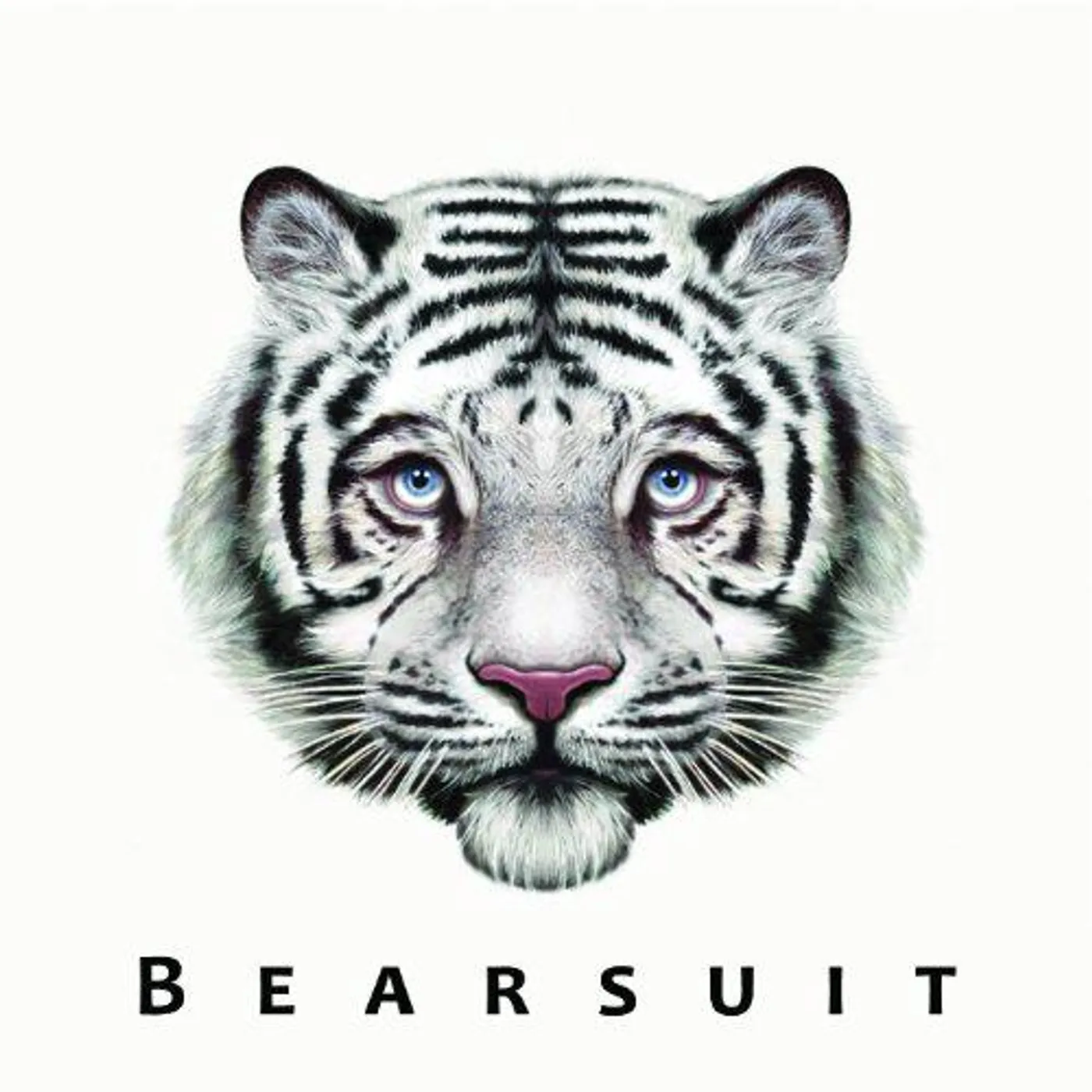 Bearsuit The Phantom Forest Vinyl Record