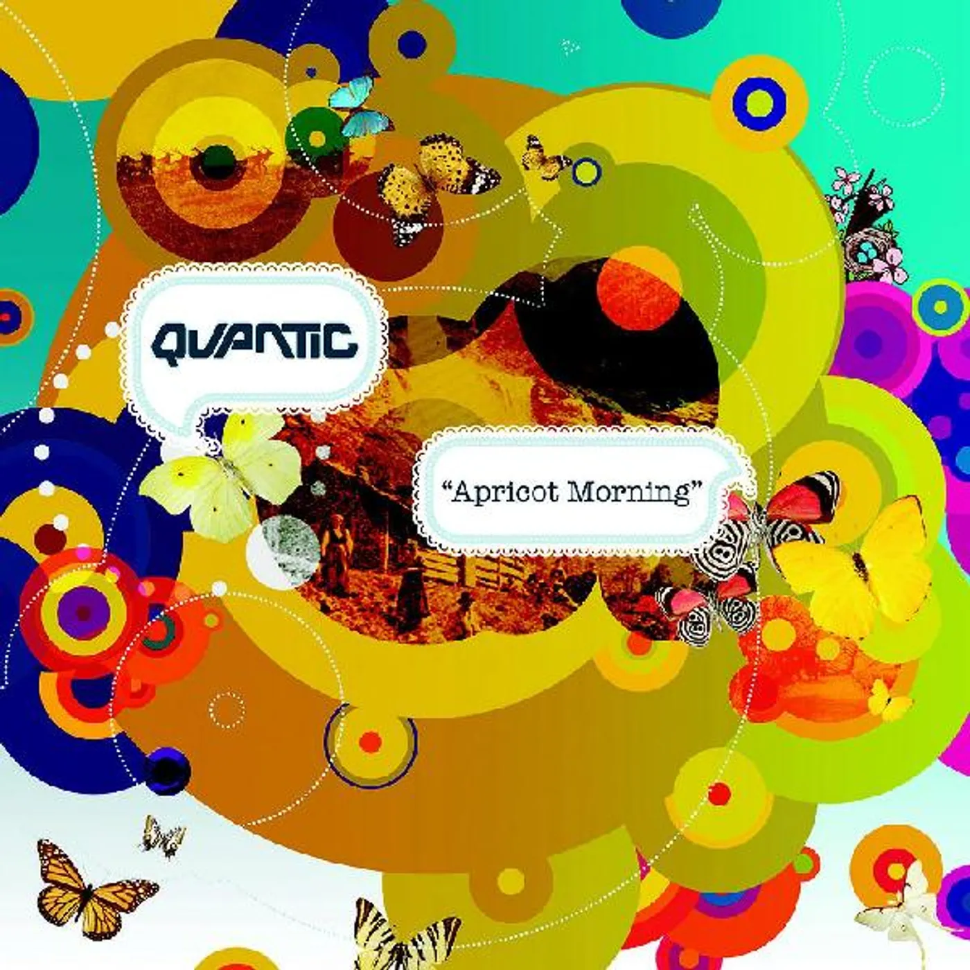 Quantic Apricot Morning Vinyl Record