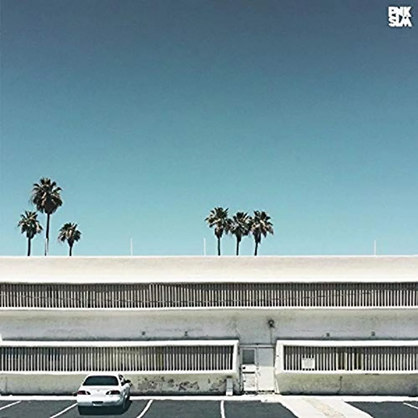 Beach Skulls Slow Grind Vinyl Record