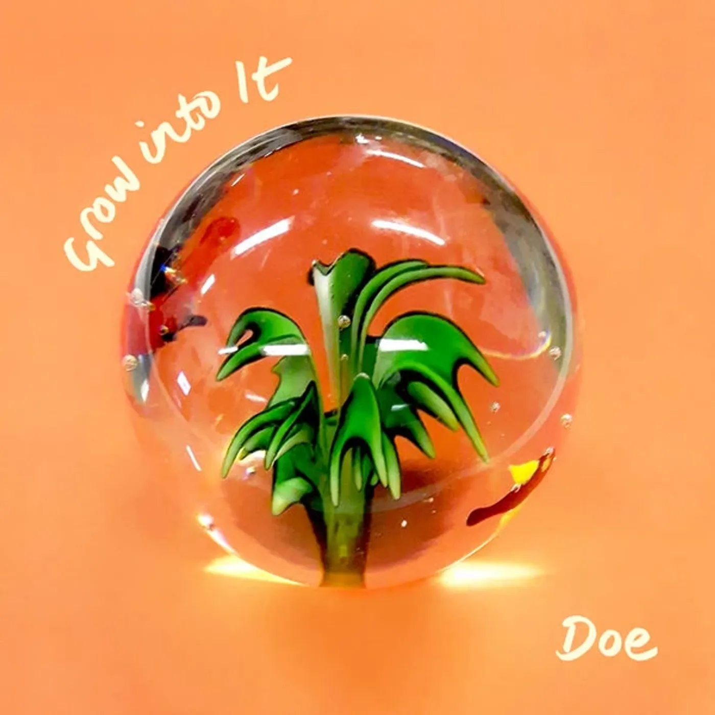 Doe Grow Into It Vinyl Record