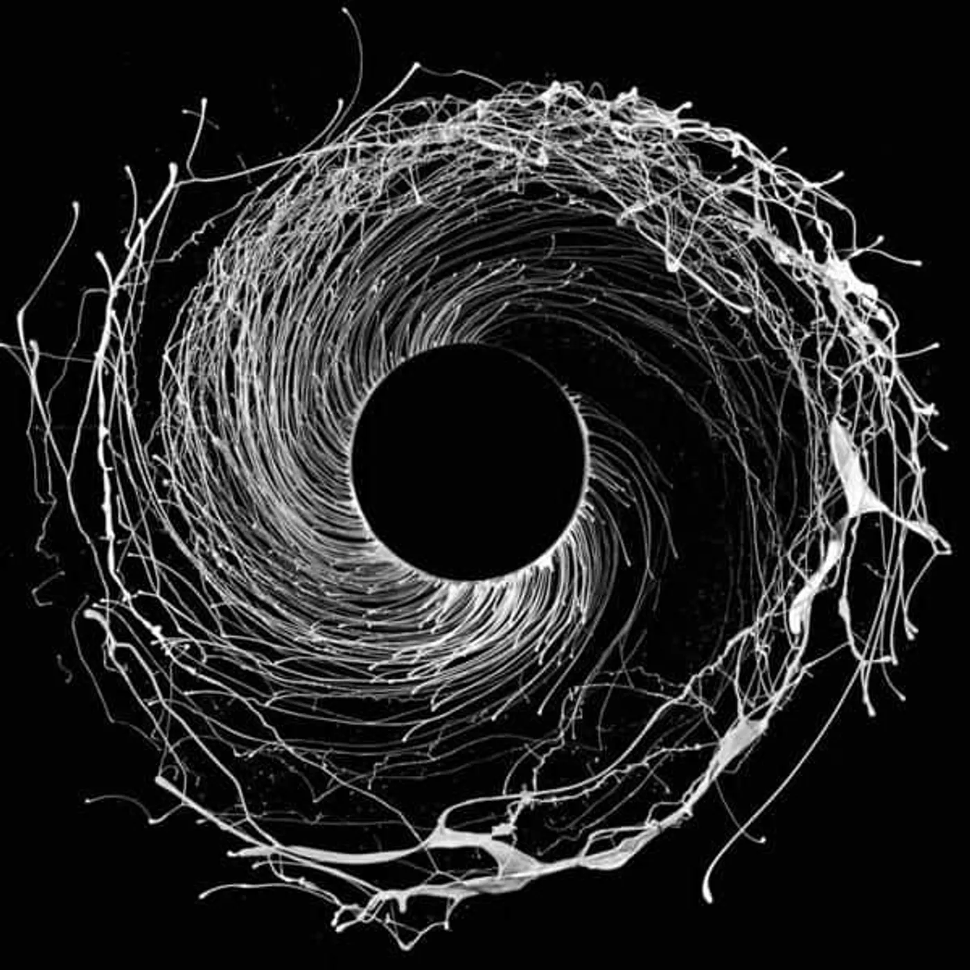 Dawn of Midi Dysnomia Vinyl Record