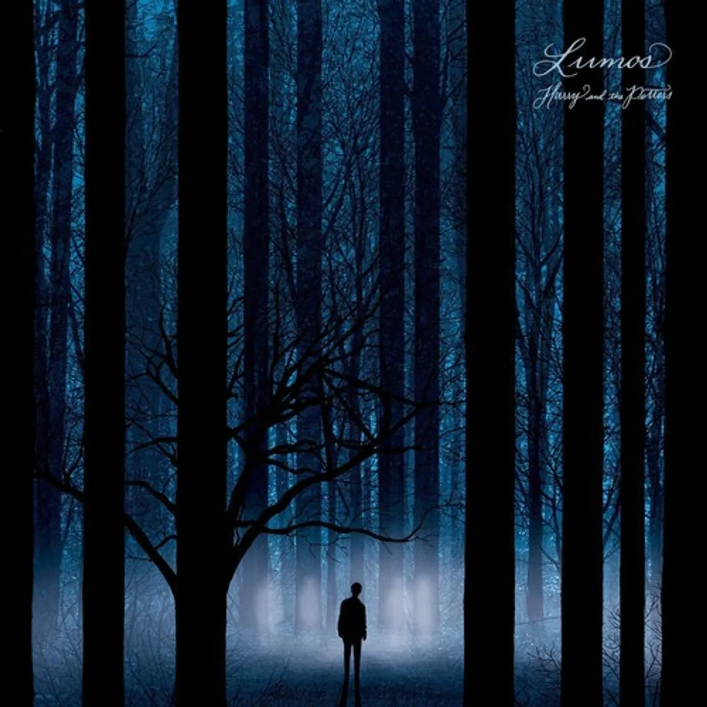 Harry and the Potters Lumos Vinyl Record