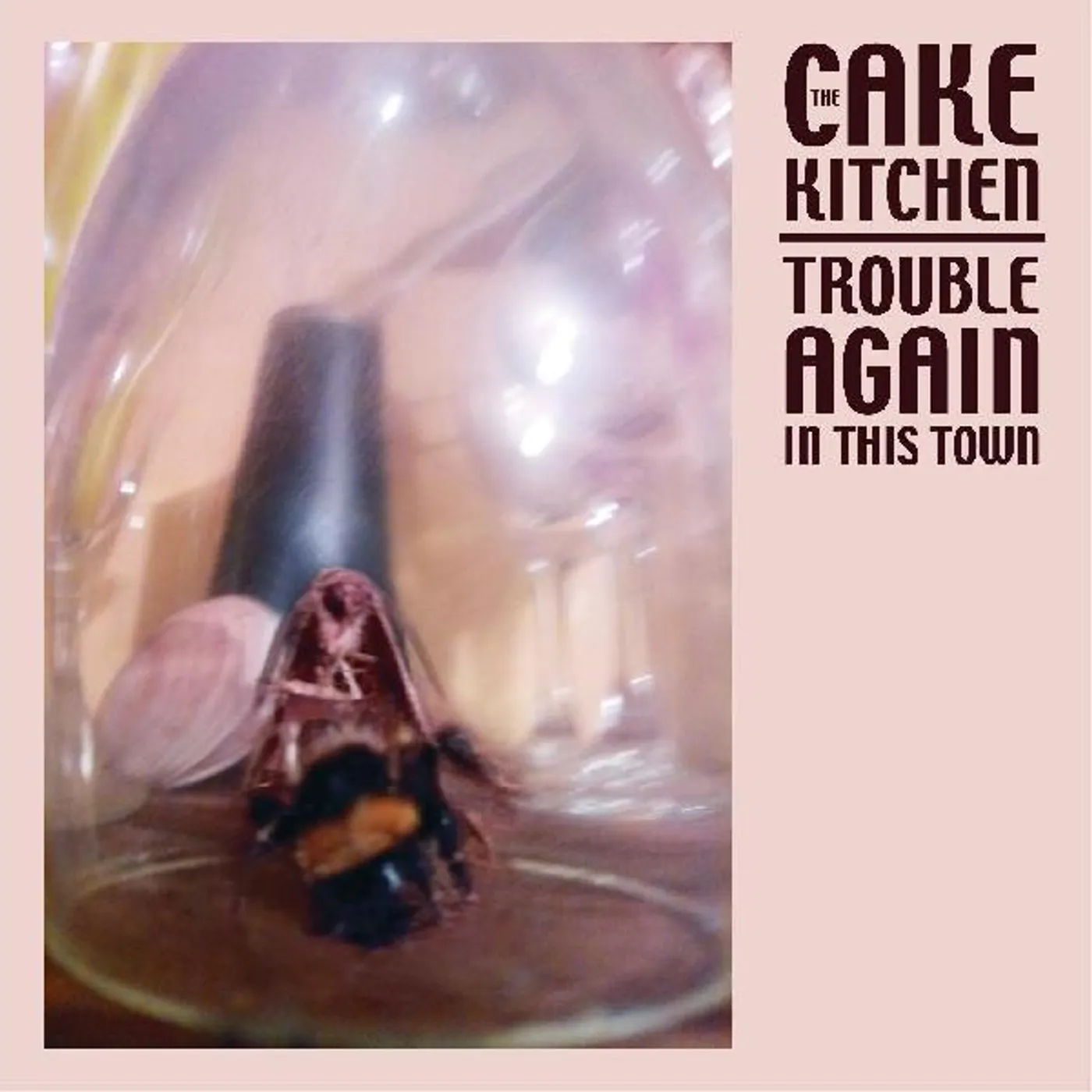 The Cakekitchen TROUBLE AGAIN IN THIS TOWN (DL CARD) Vinyl Record