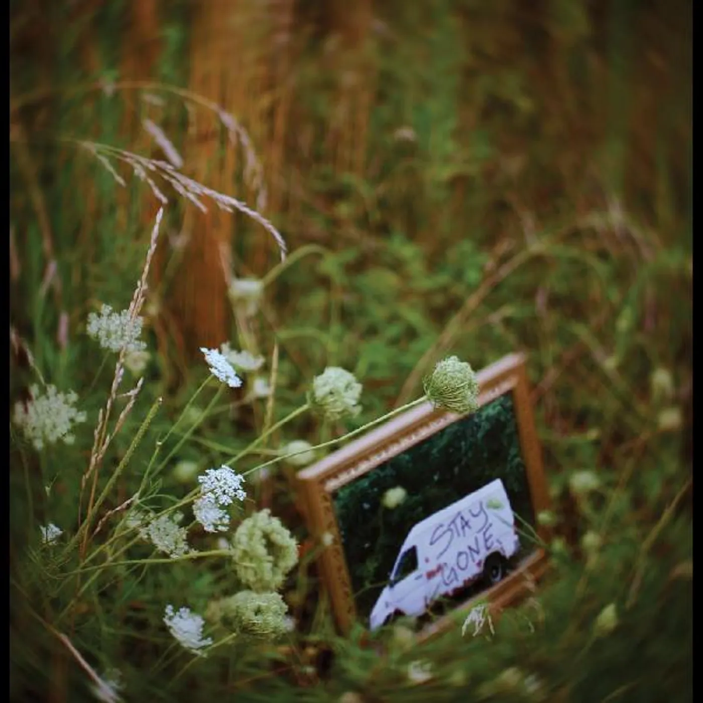 Calyx STAY GONE (DL CARD) Vinyl Record