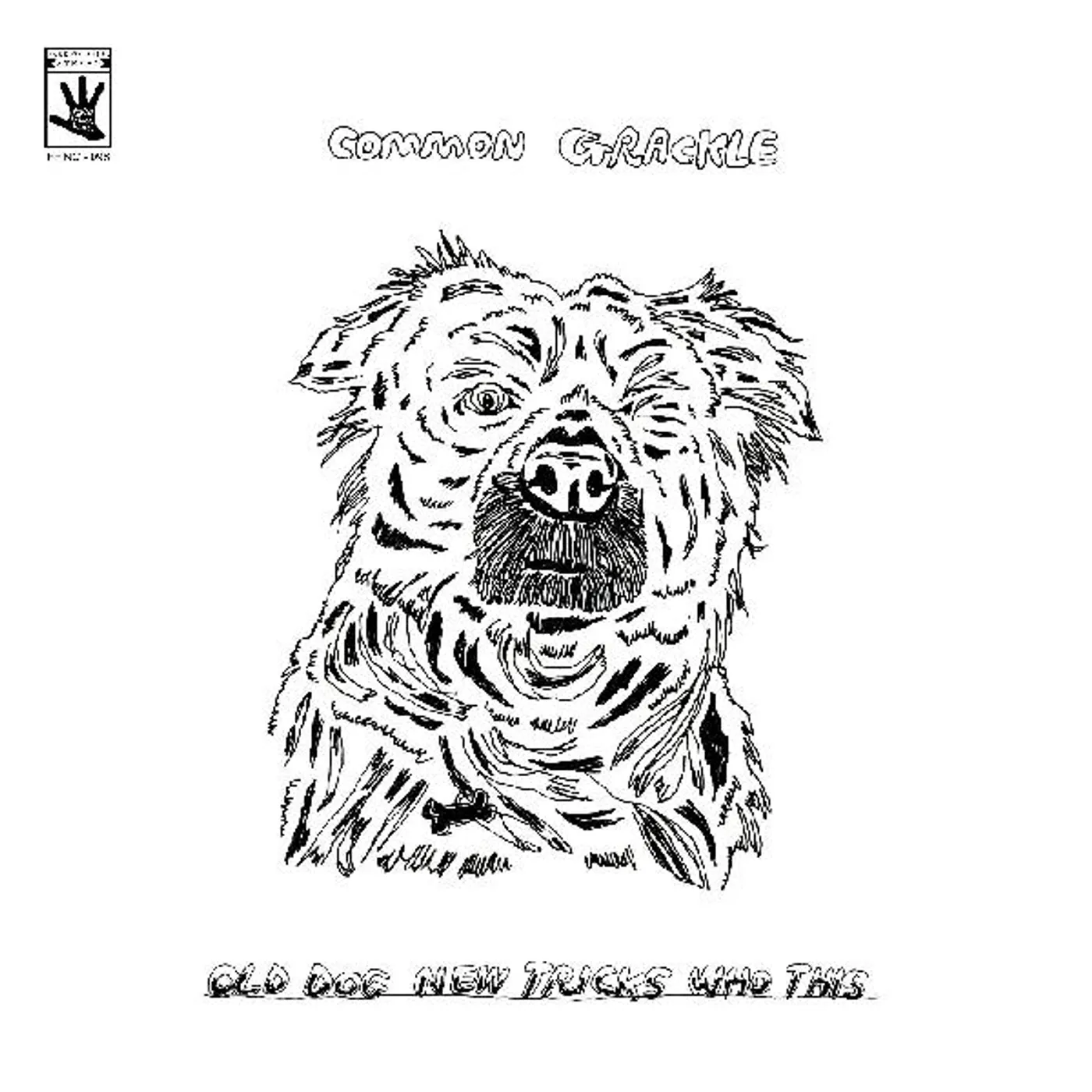 Common Grackle Old Dog New Tricks Who This Vinyl Record