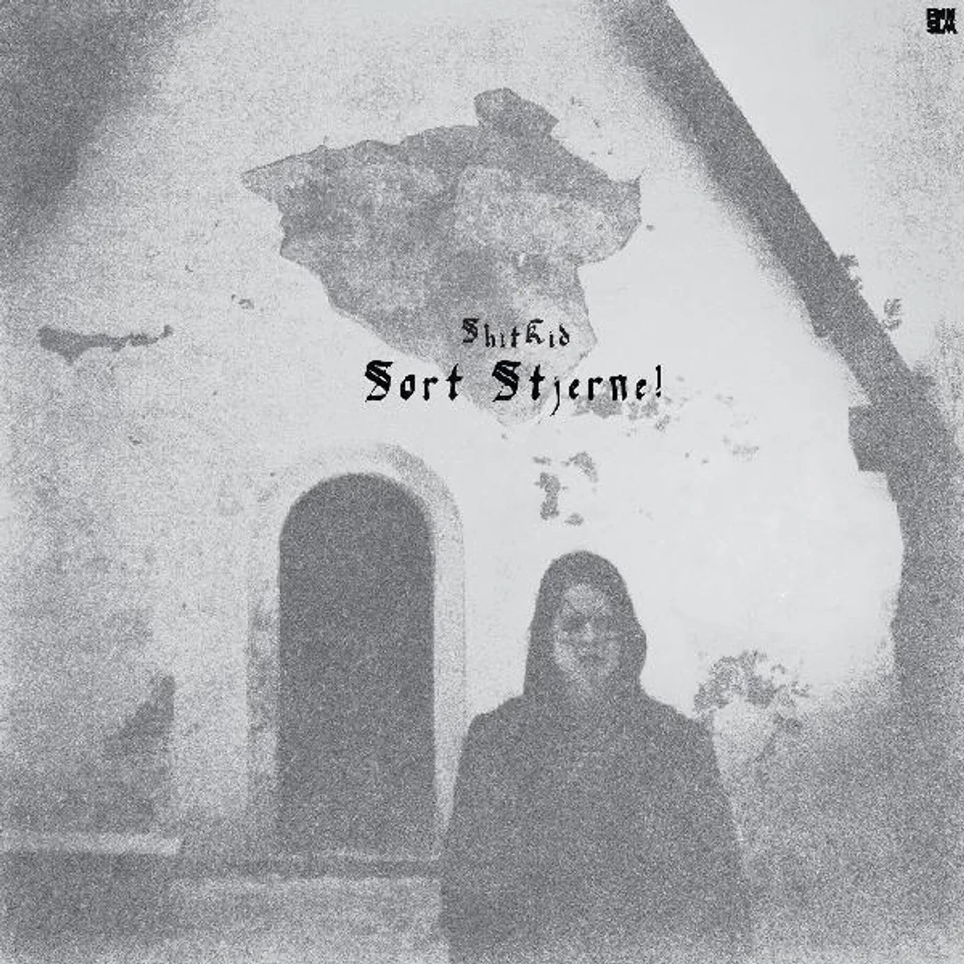 ShitKid SORT STJERNE! (2LP) Vinyl Record