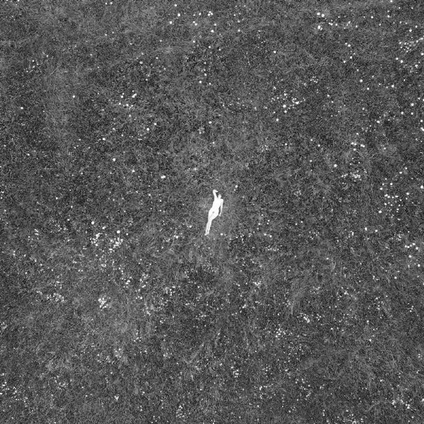 Birds Of Passage The Last Garden (180G/DL CARD) Vinyl Record