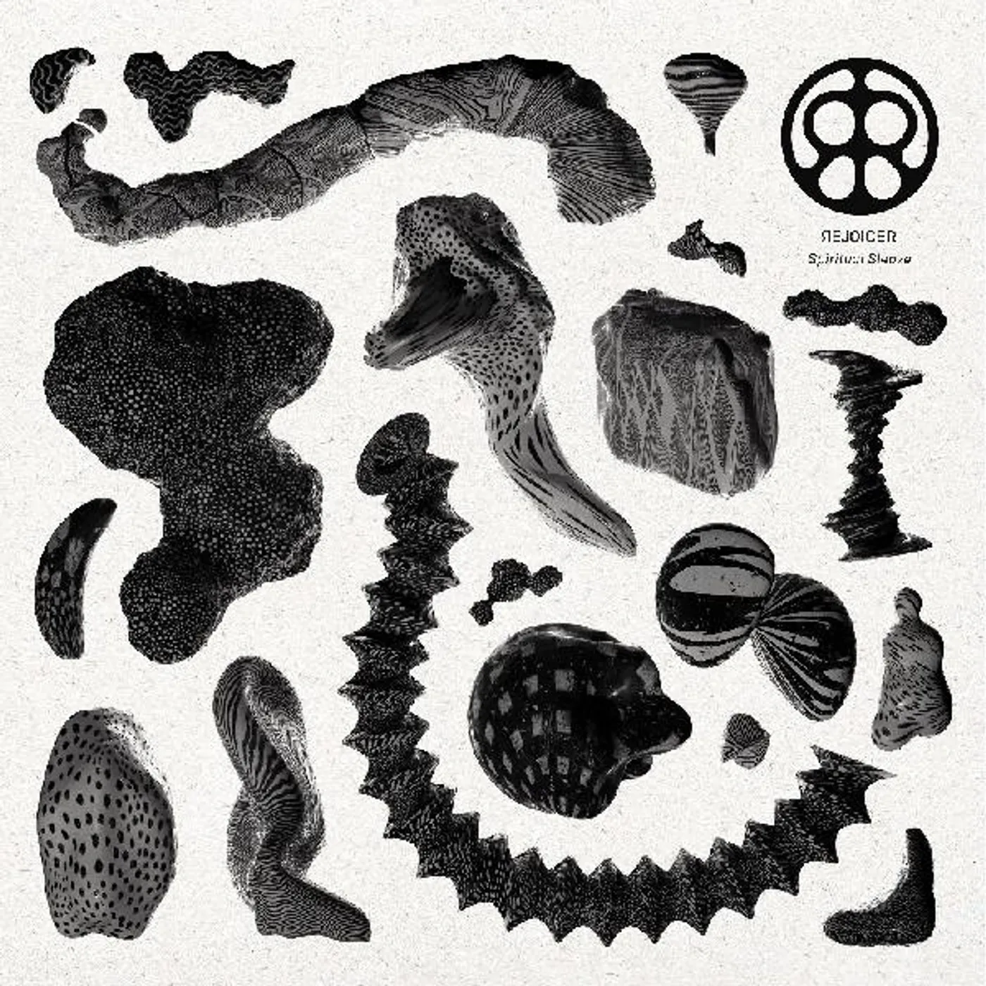 Rejoicer Spiritual Sleaze Vinyl Record