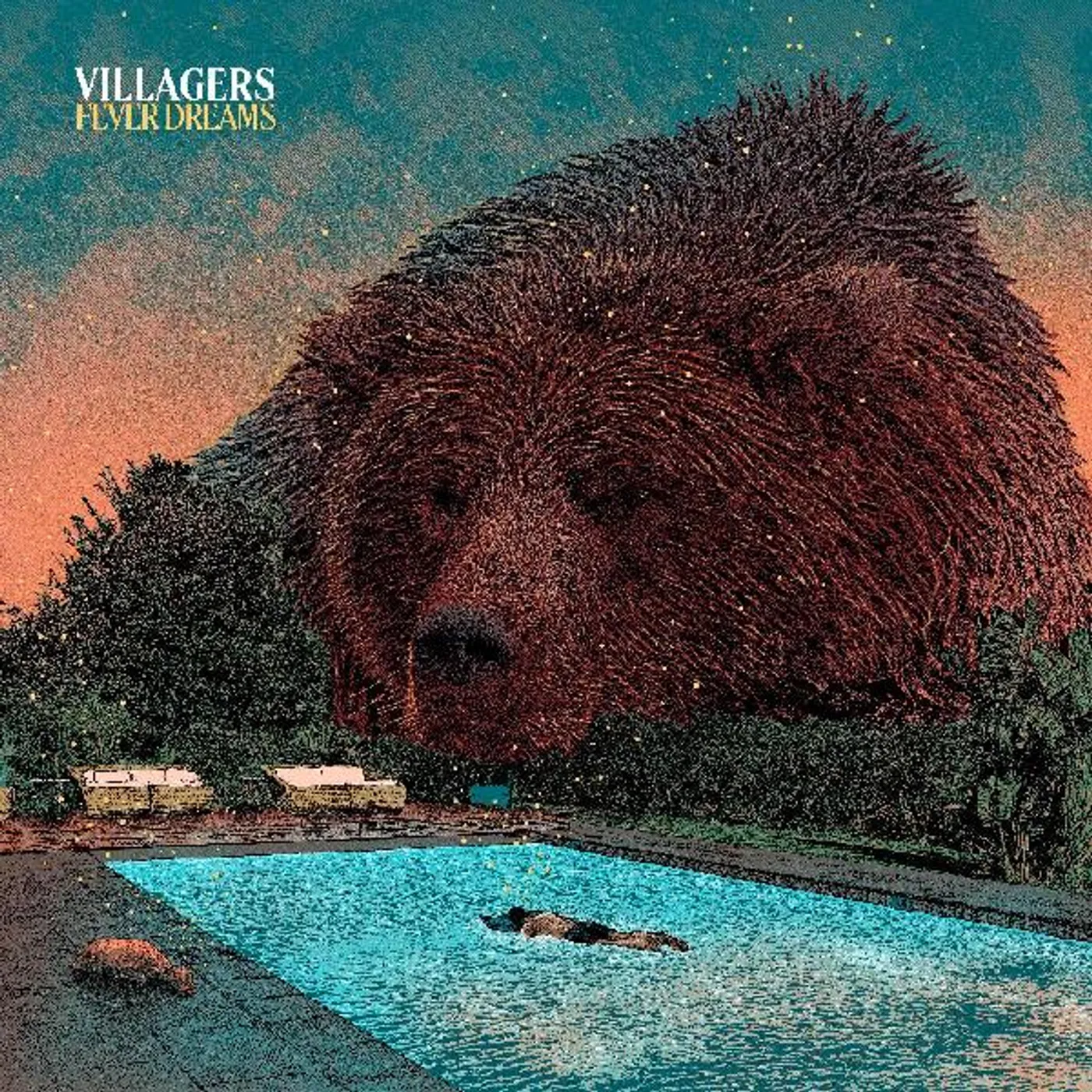 Villagers Fever Dreams Vinyl Record