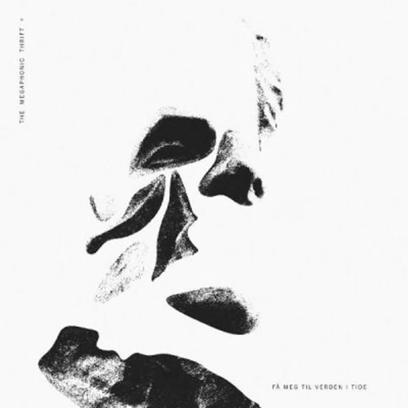 The Megaphonic Thrift Fa Meg Til Verden I Tide Vinyl Record