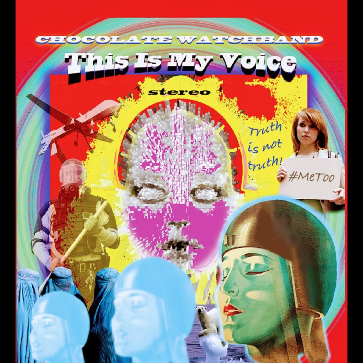 The Chocolate Watchband This Is My Voice Vinyl Record