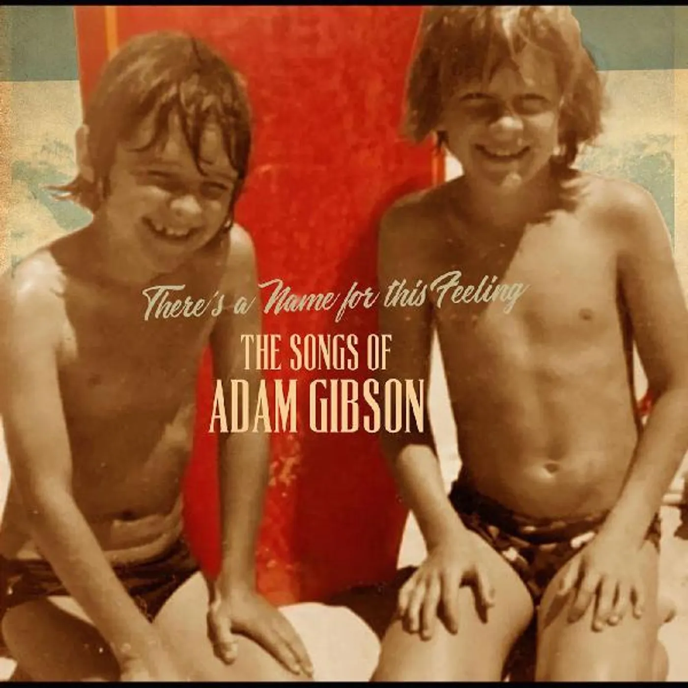 SONGS OF ADAM GIBSON (2LP) Vinyl Record