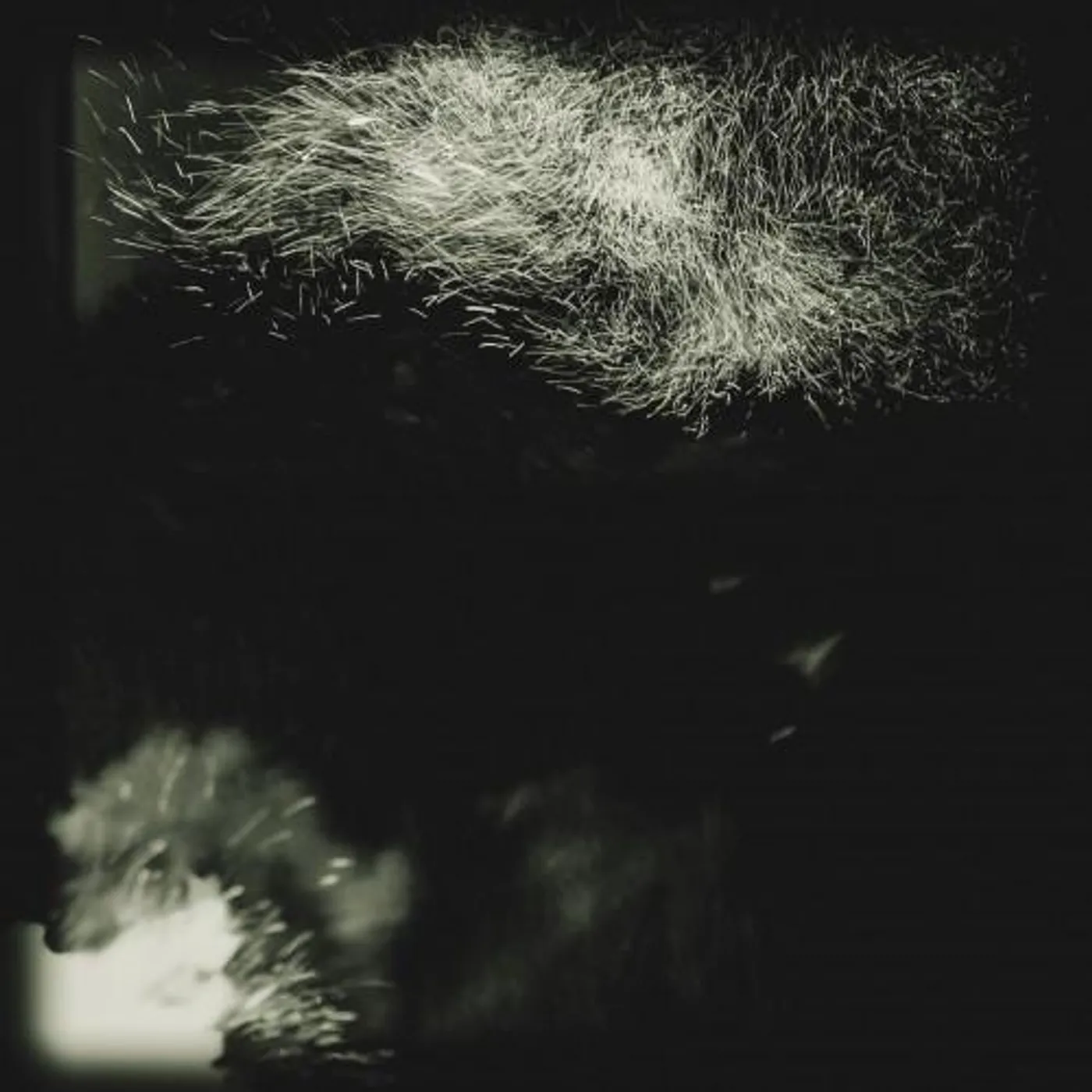 Fink Fall Into The Light / Pilgrim Vinyl Record