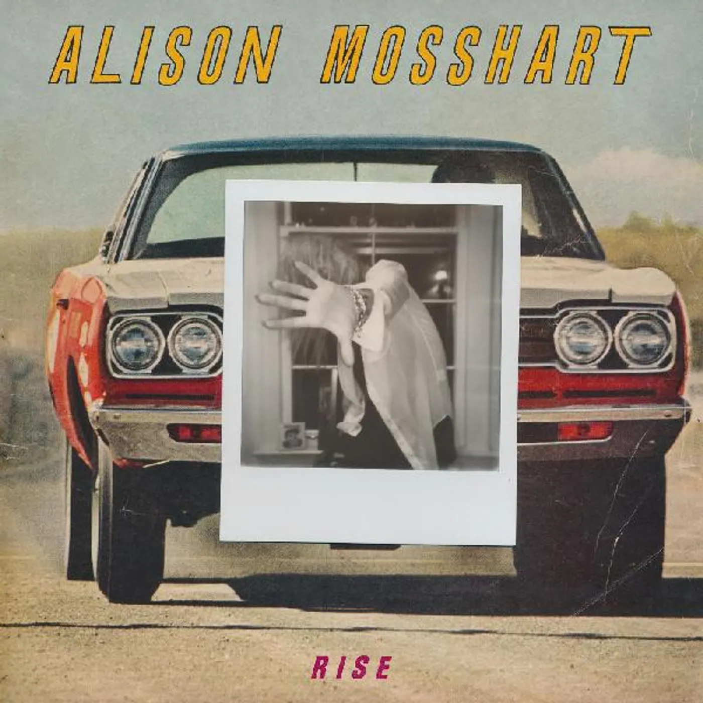 Alison Mosshart Rise Vinyl Record