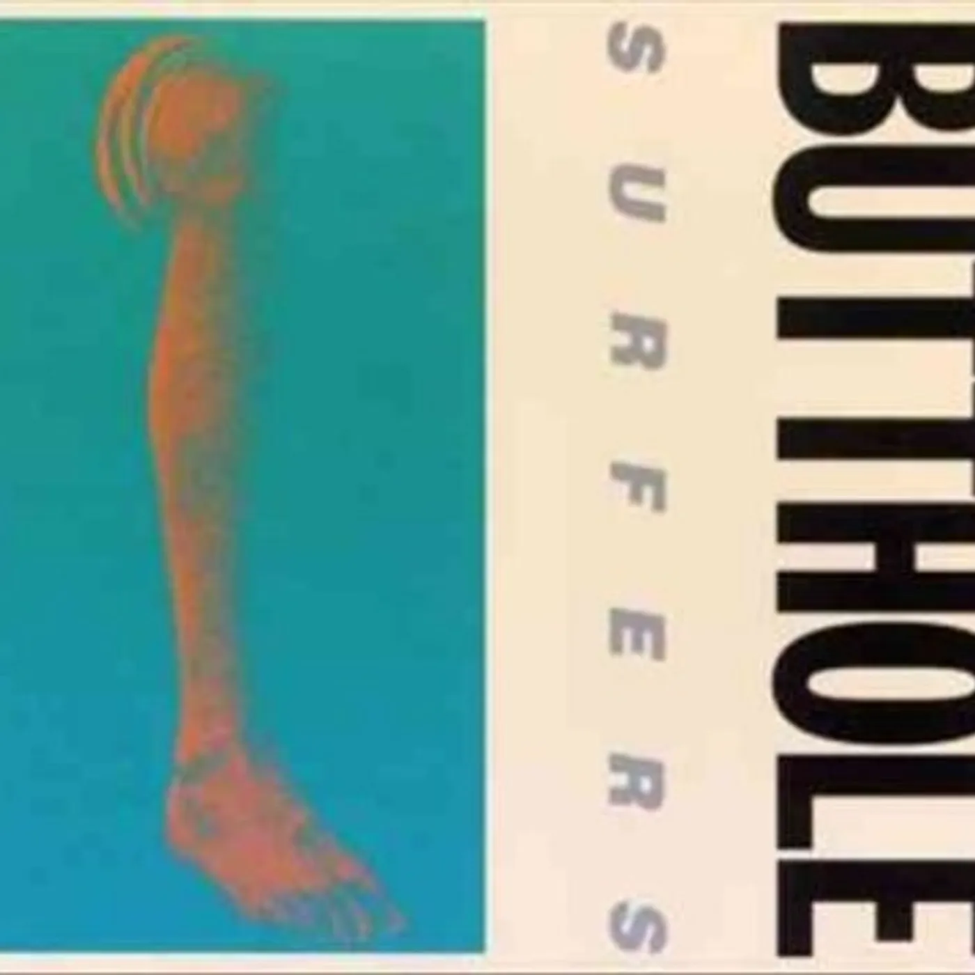 Butthole Surfers Rembrandt Pussyhorse Vinyl Record