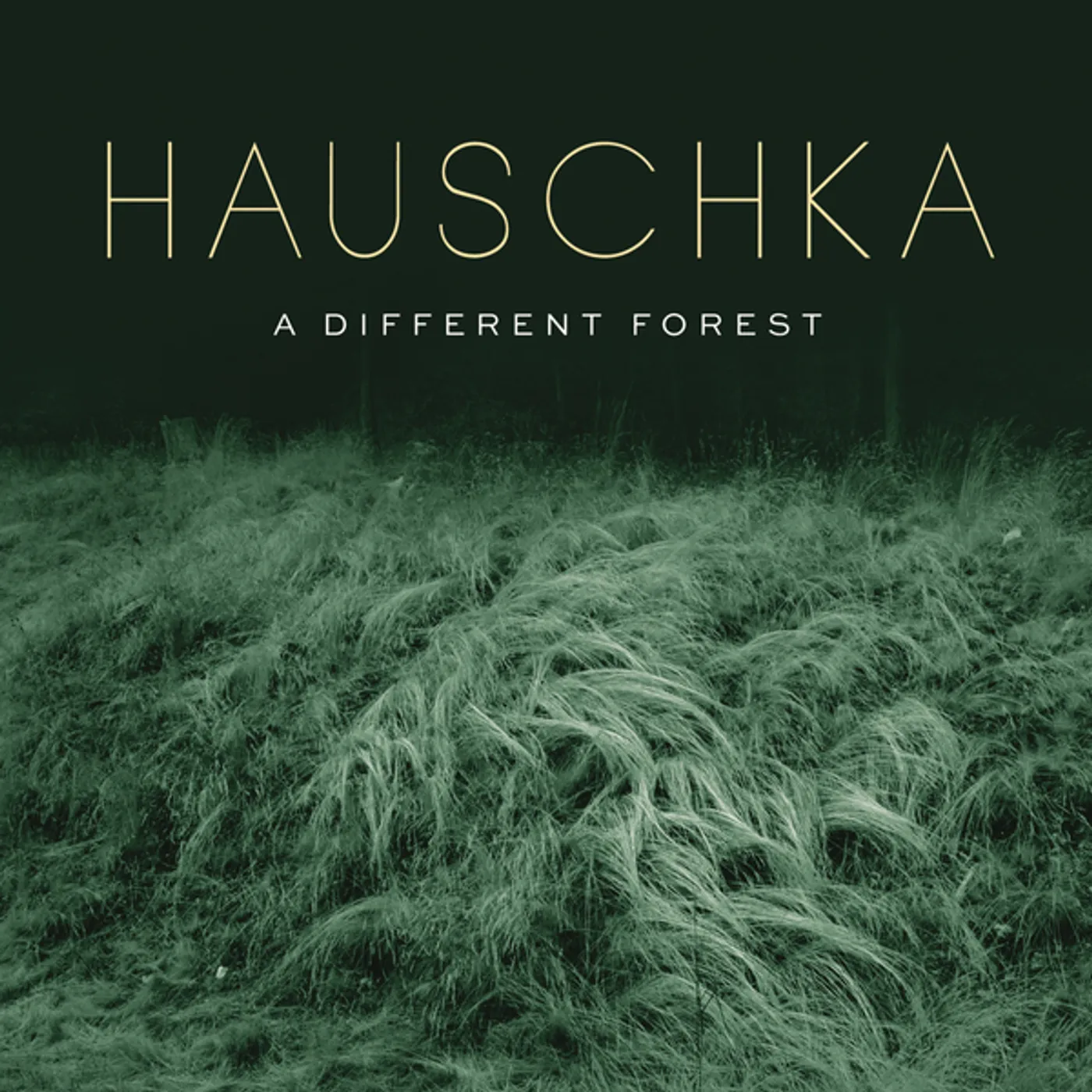 Hauschka DIFFERENT FOREST Vinyl Record