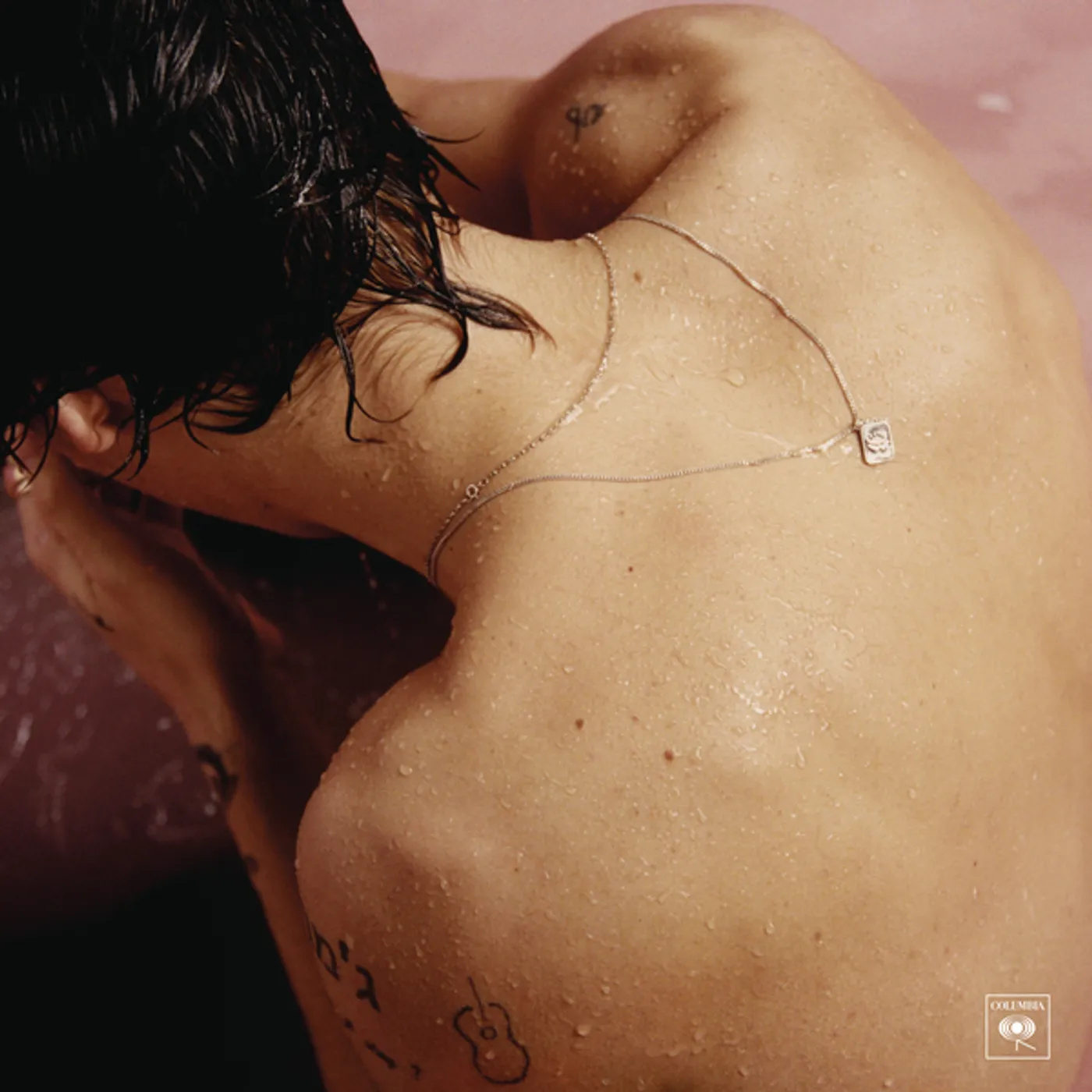 Harry Styles (180g/Gatefold) Vinyl Record