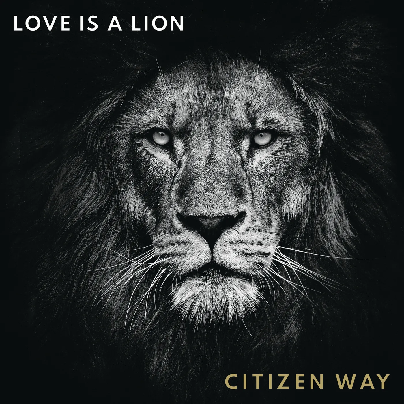 Citizen Way LOVE IS A LION CD