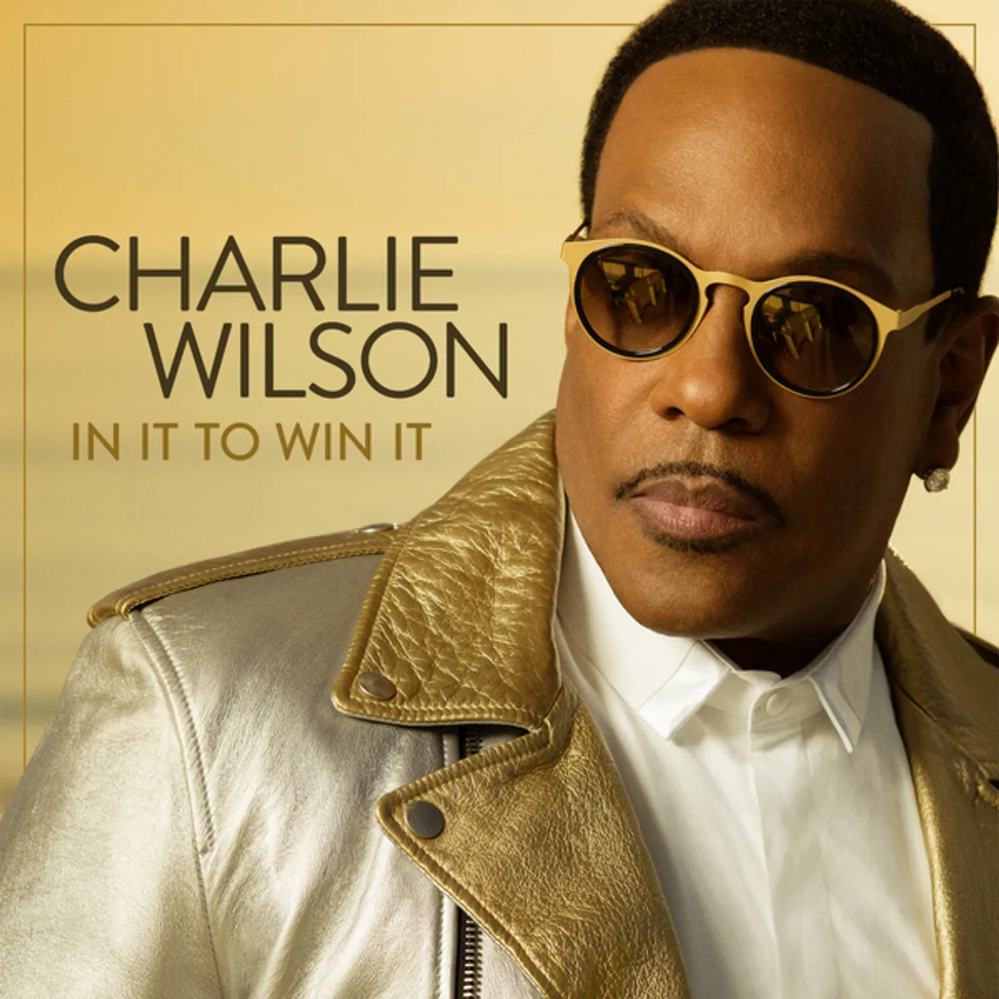Charlie Wilson IN IT TO WIN IT CD