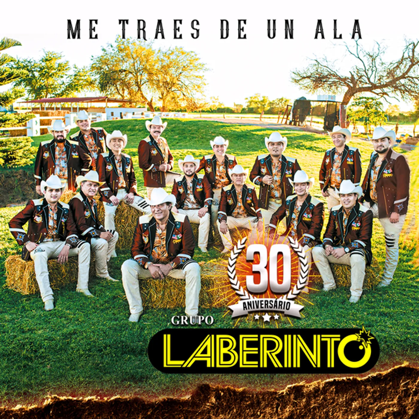 Grupo Laberinto ME TRAES DE UN ALA CD