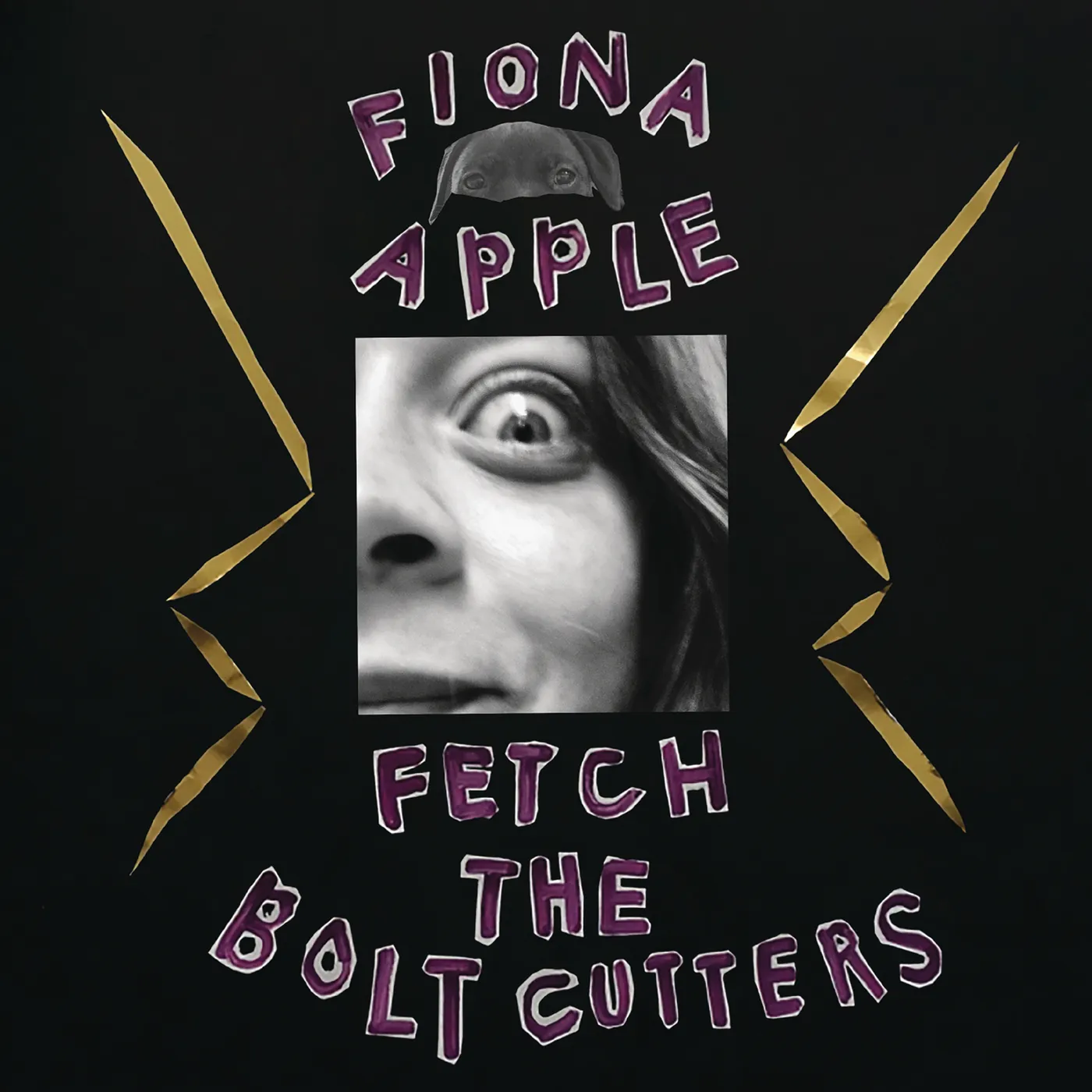 Fiona Apple FETCH THE BOLT CUTTERS CD