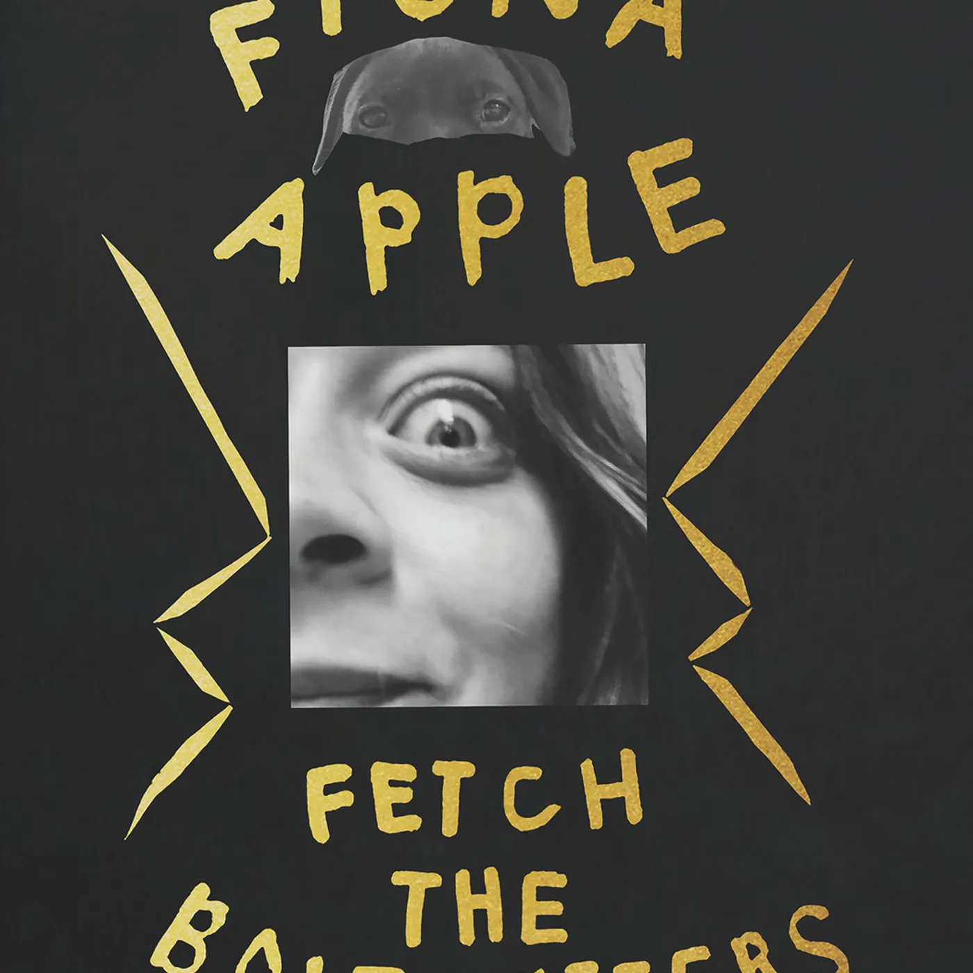 Fiona Apple FETCH THE BOLT CUTTERS (DELUXE/BOOK) CD