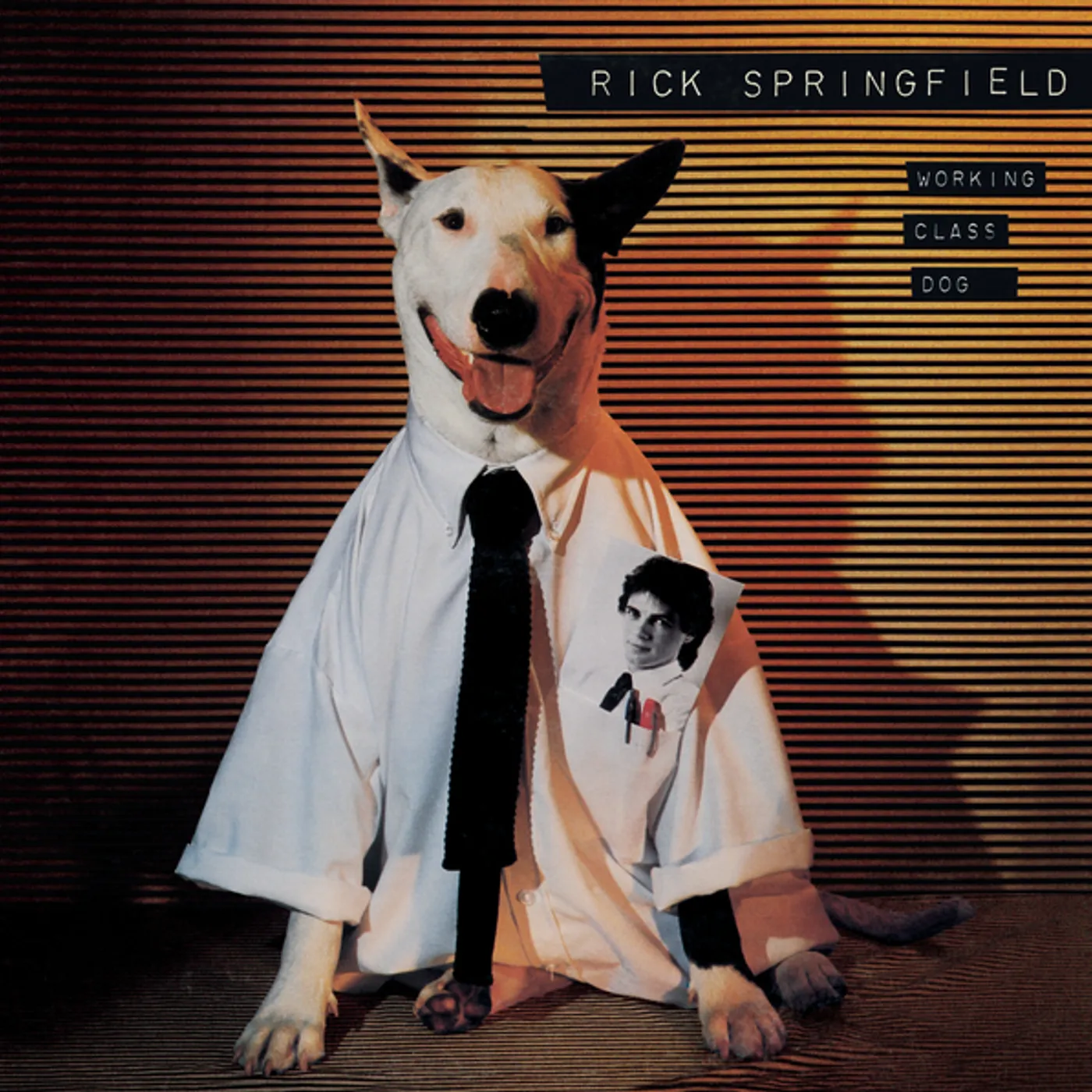 Rick Springfield WORKING CLASS DOG CD