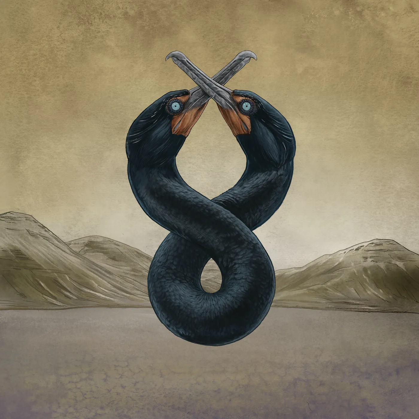 San Fermin CORMORANT I & II CD