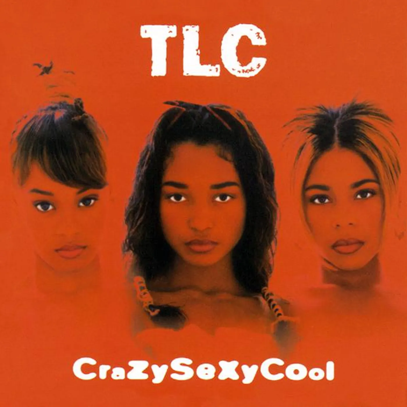TLC CRAZYSEXYFOOL CD
