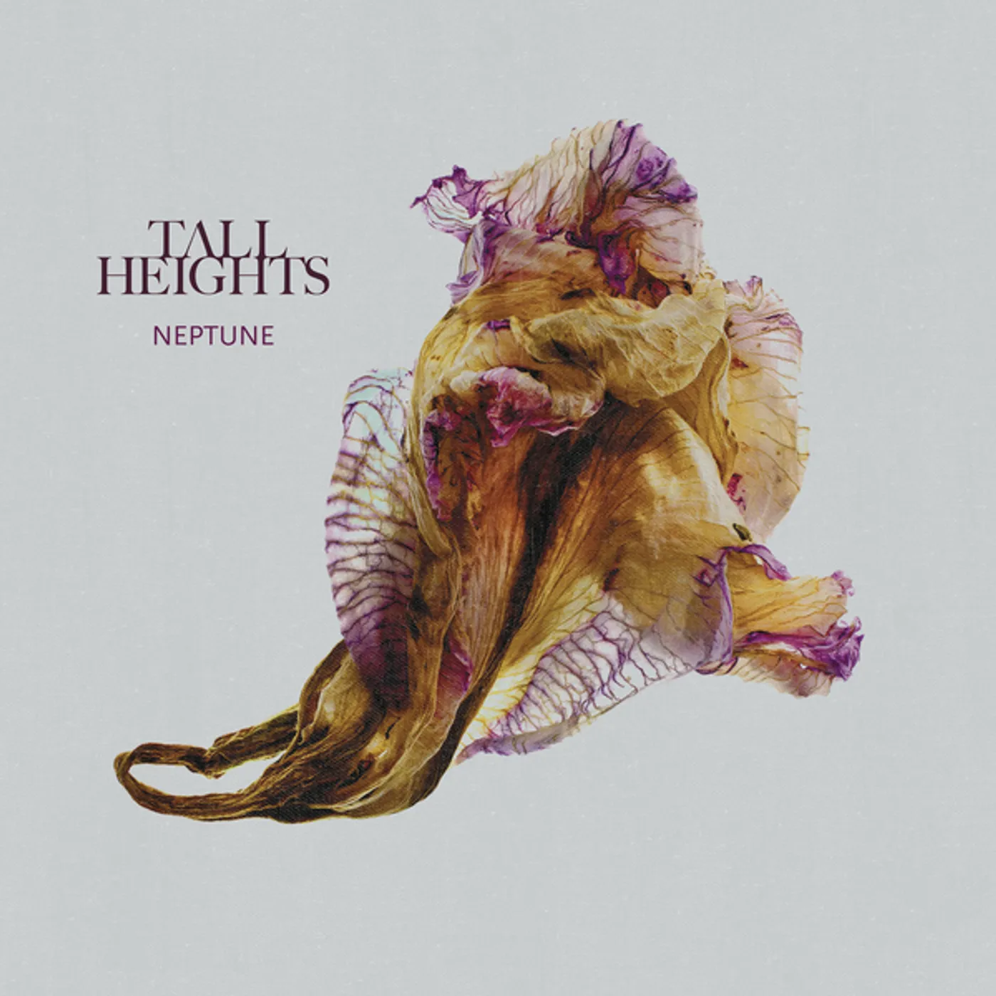 Tall Heights Neptune Vinyl Record