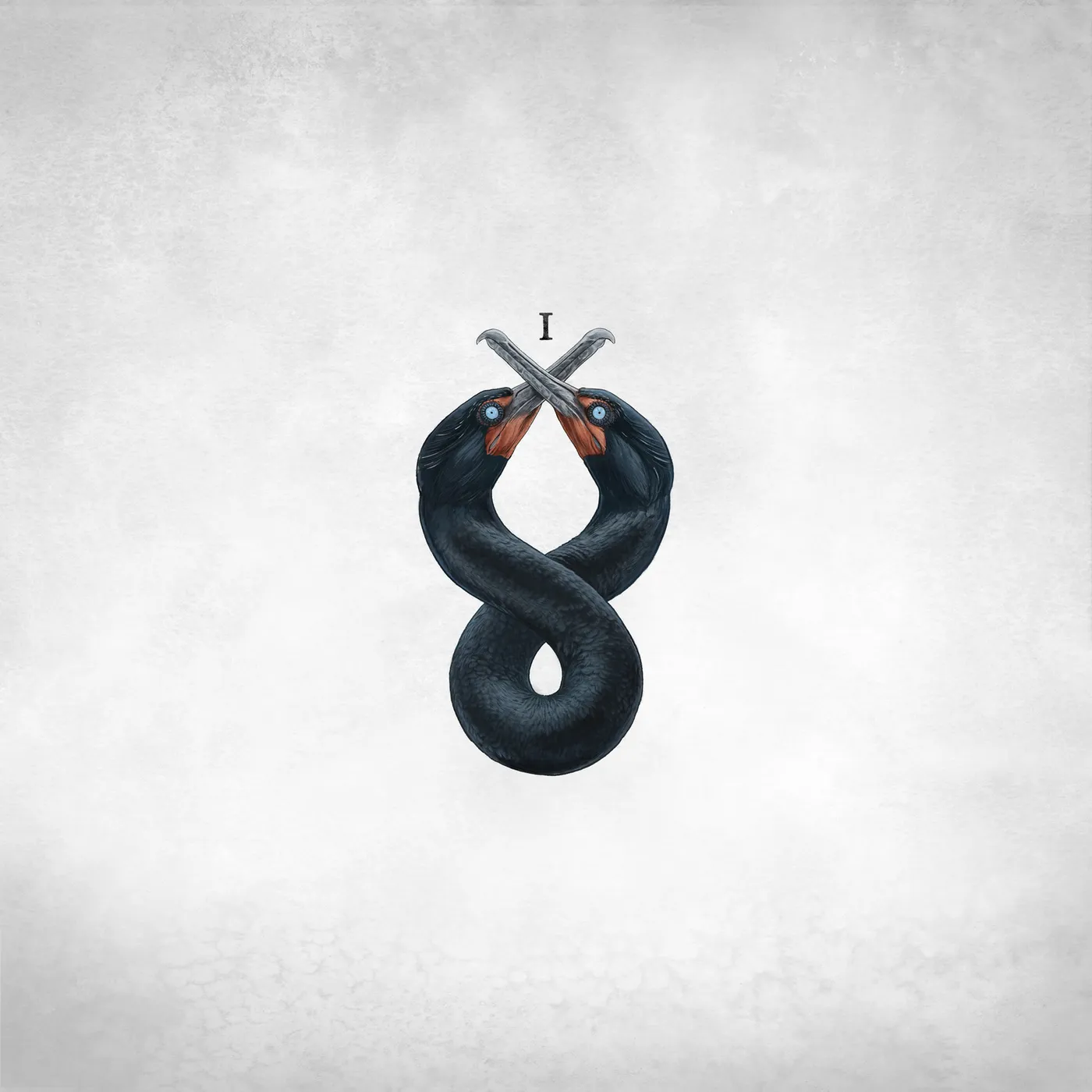 San Fermin CORMORANT I (150G) Vinyl Record