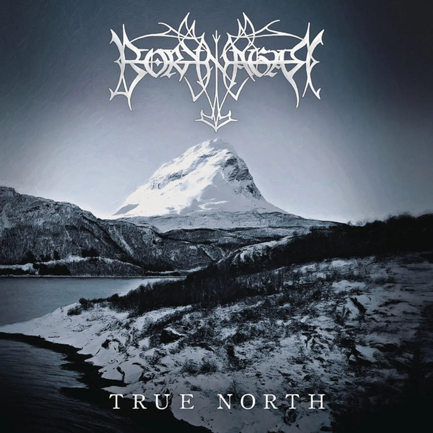 Borknagar TRUE NORTH (180G) Vinyl Record