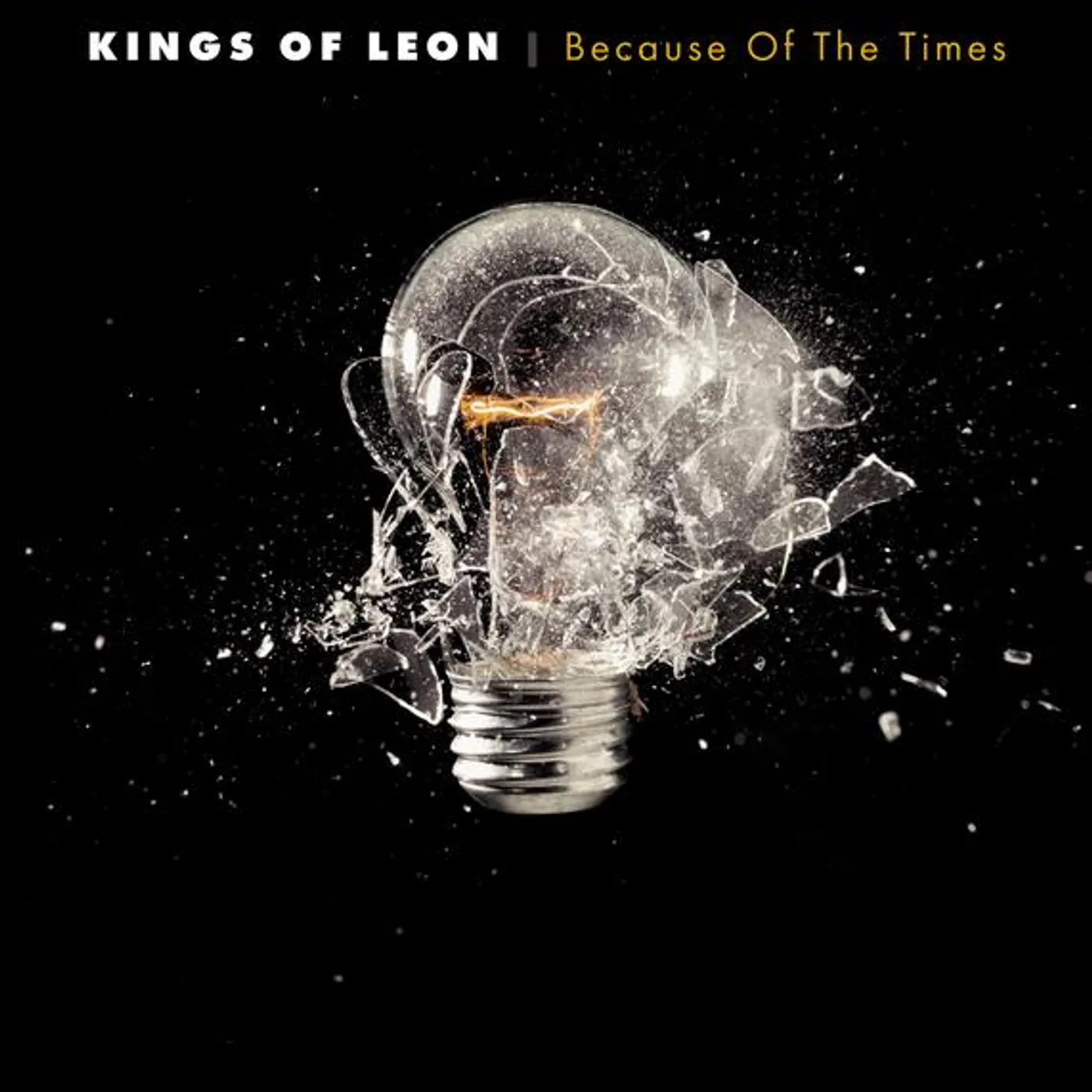 Kings of Leon Because Of The Times (2lp/180g/gatefold) Vinyl Record