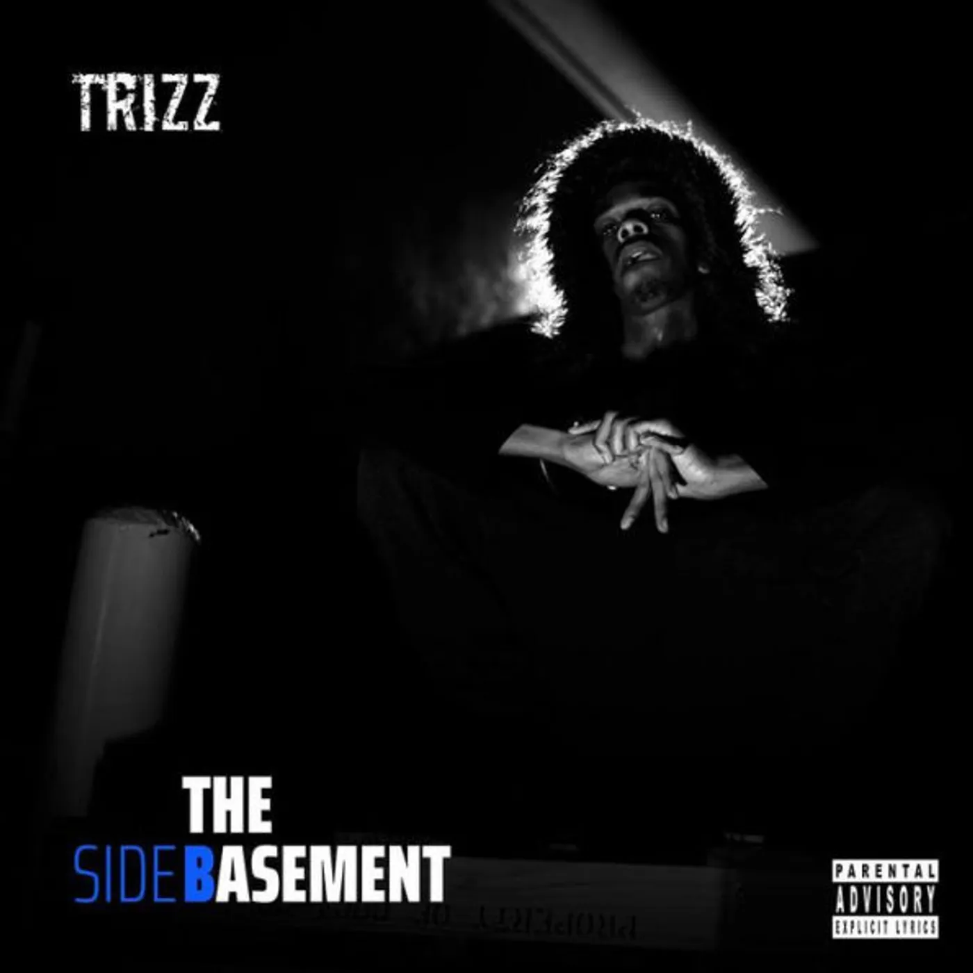 Trizz BASEMENT Vinyl Record