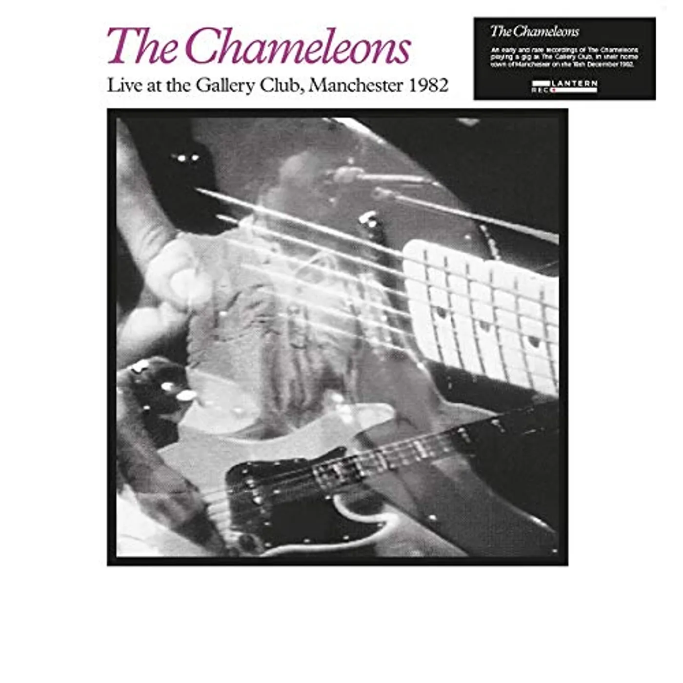 The Chameleons LIVE AT THE GALLERY CLUB Vinyl Record