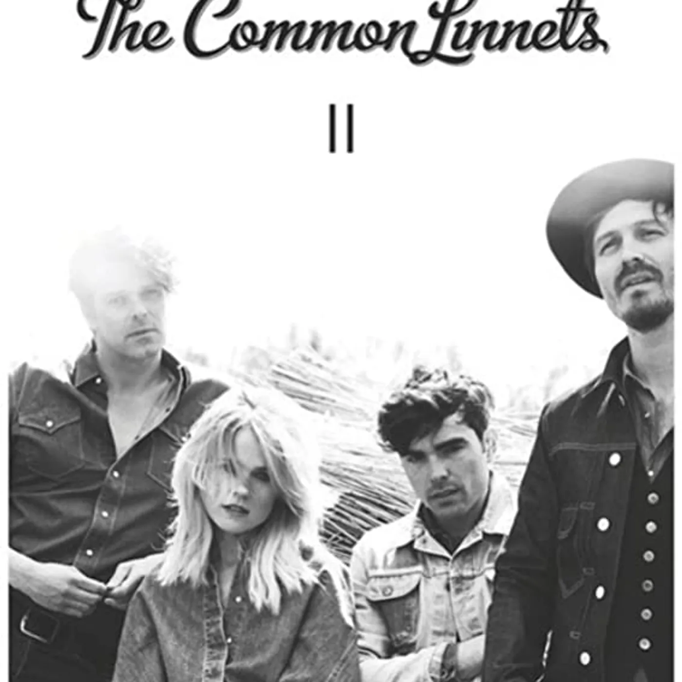 The Common Linnets II Vinyl Record