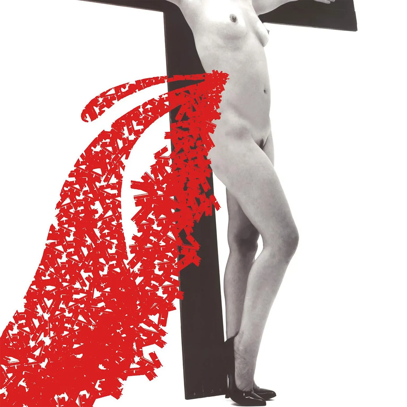 The Distillers Coral fang Vinyl Record