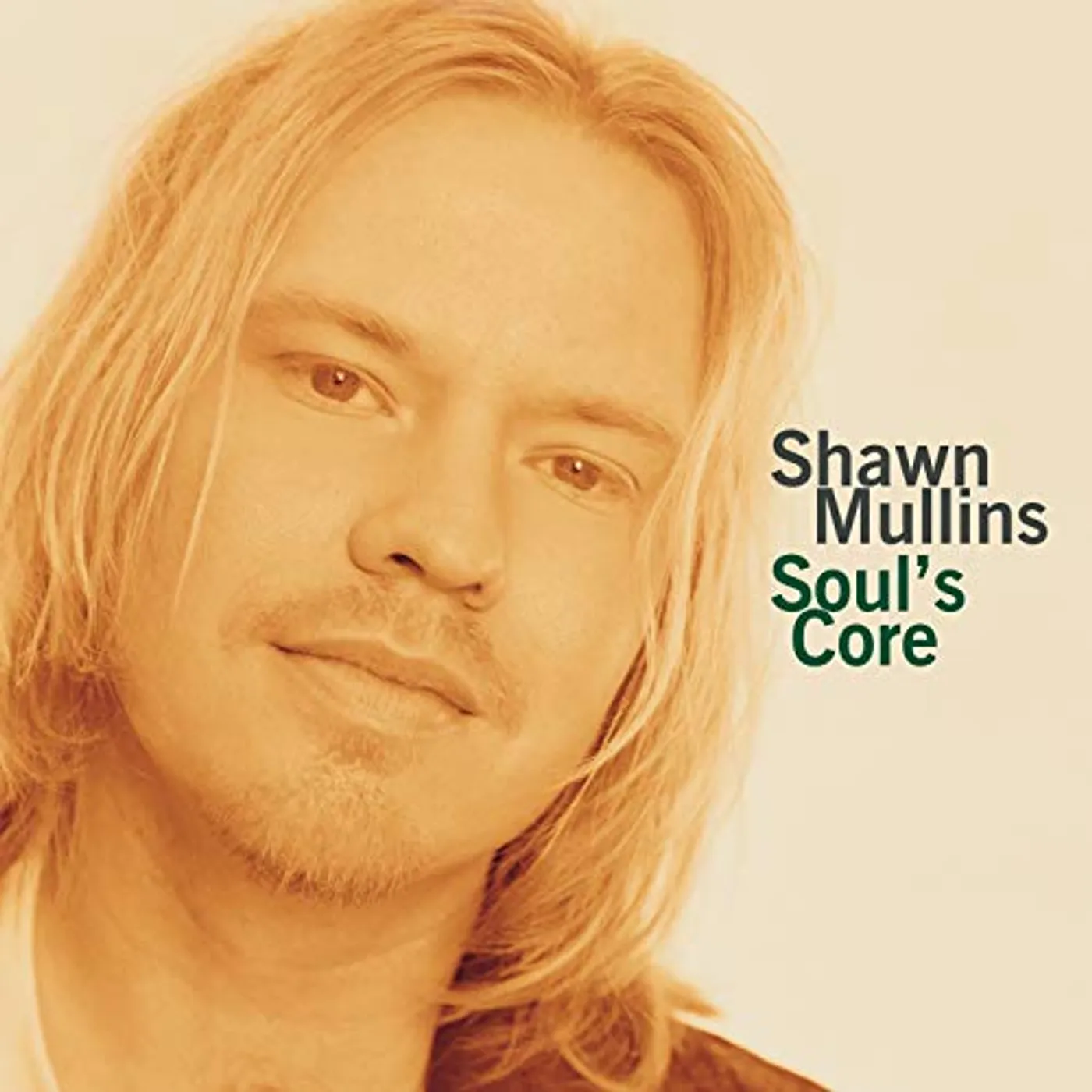 Shawn Mullins Soul's Core Vinyl Record