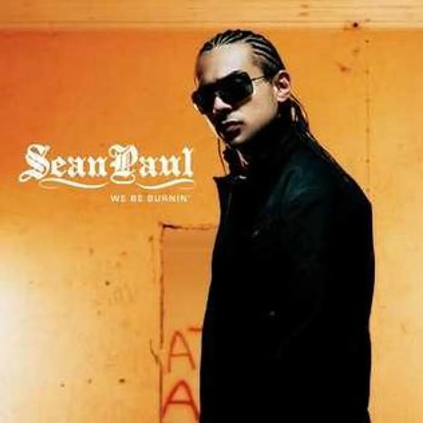 Sean Paul We'll Be Burning (7") Vinyl Record