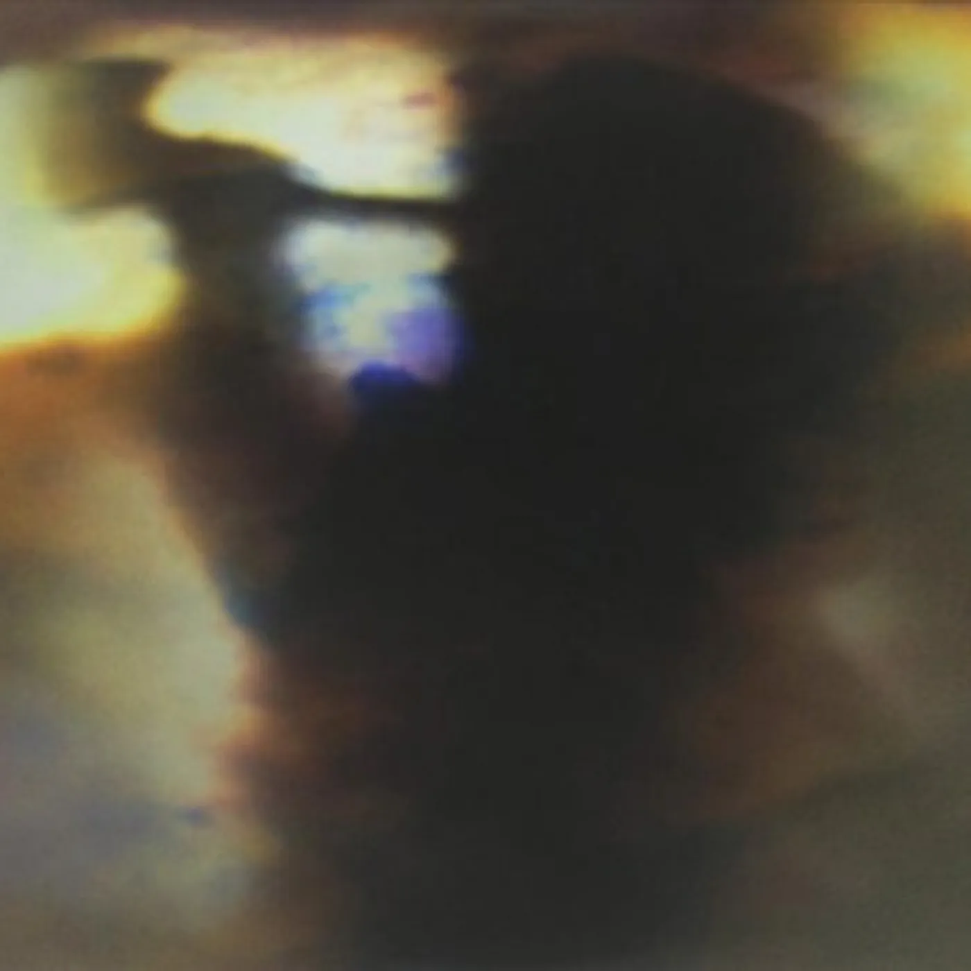 Animal Collective Fall Be Kind Vinyl Record