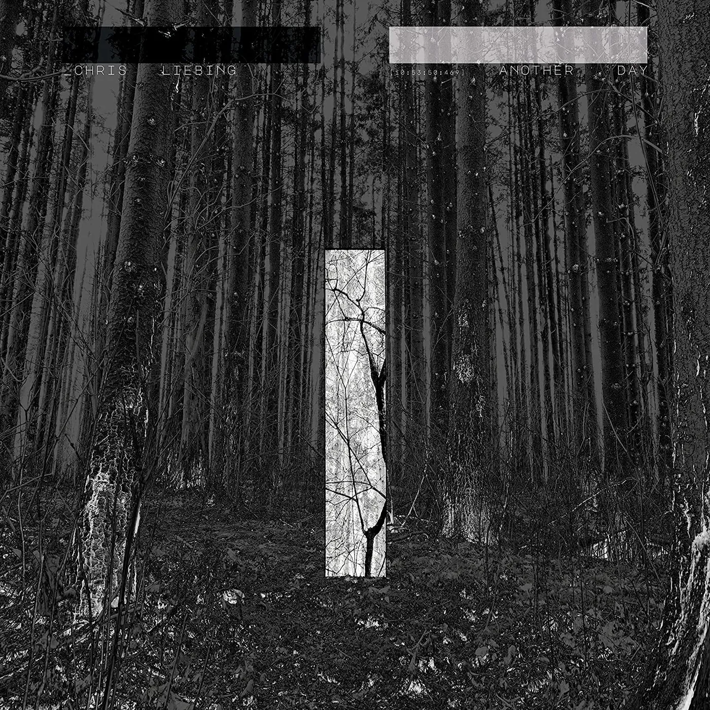 Chris Liebing Another Day CD