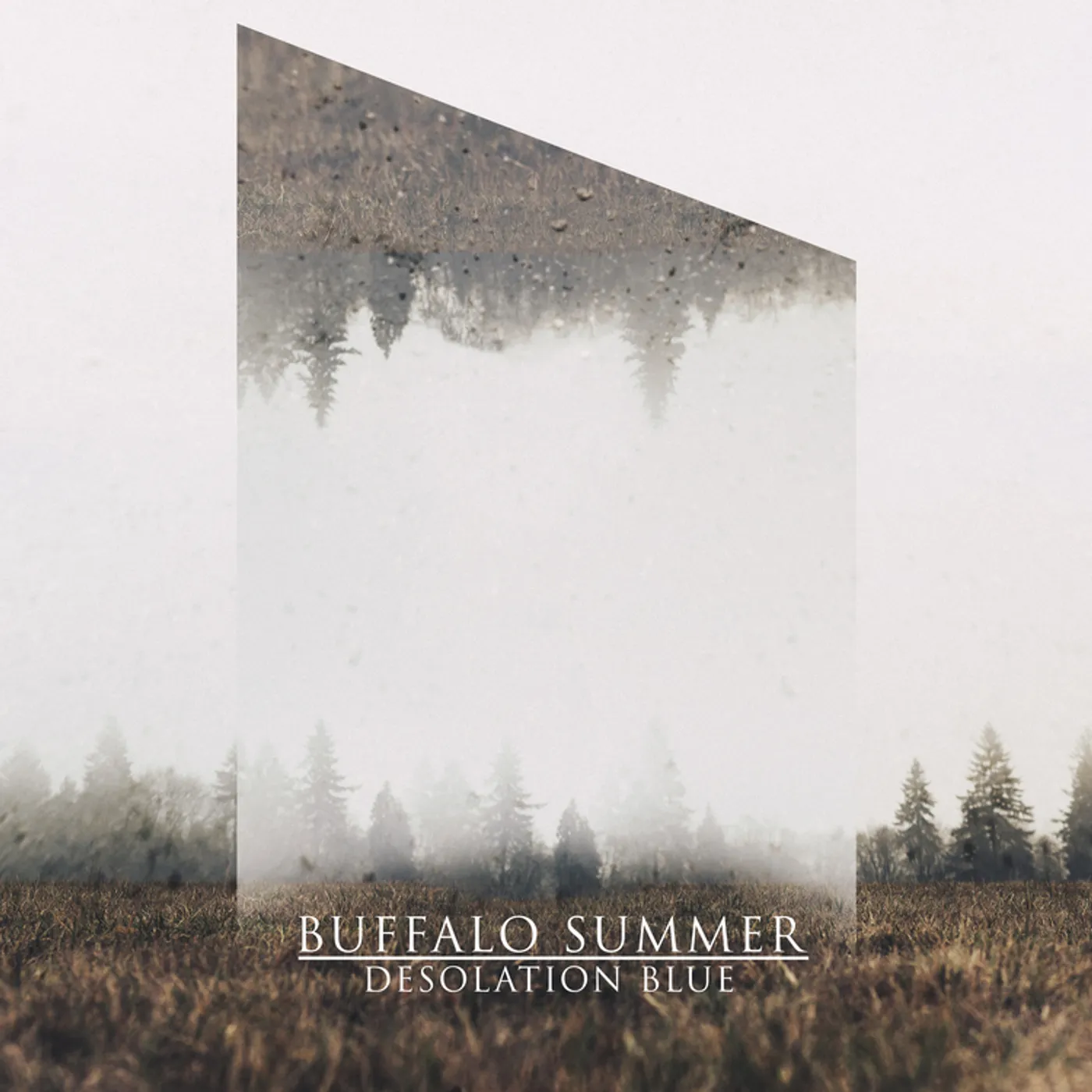 Buffalo Summer DESOLATION BLUE CD