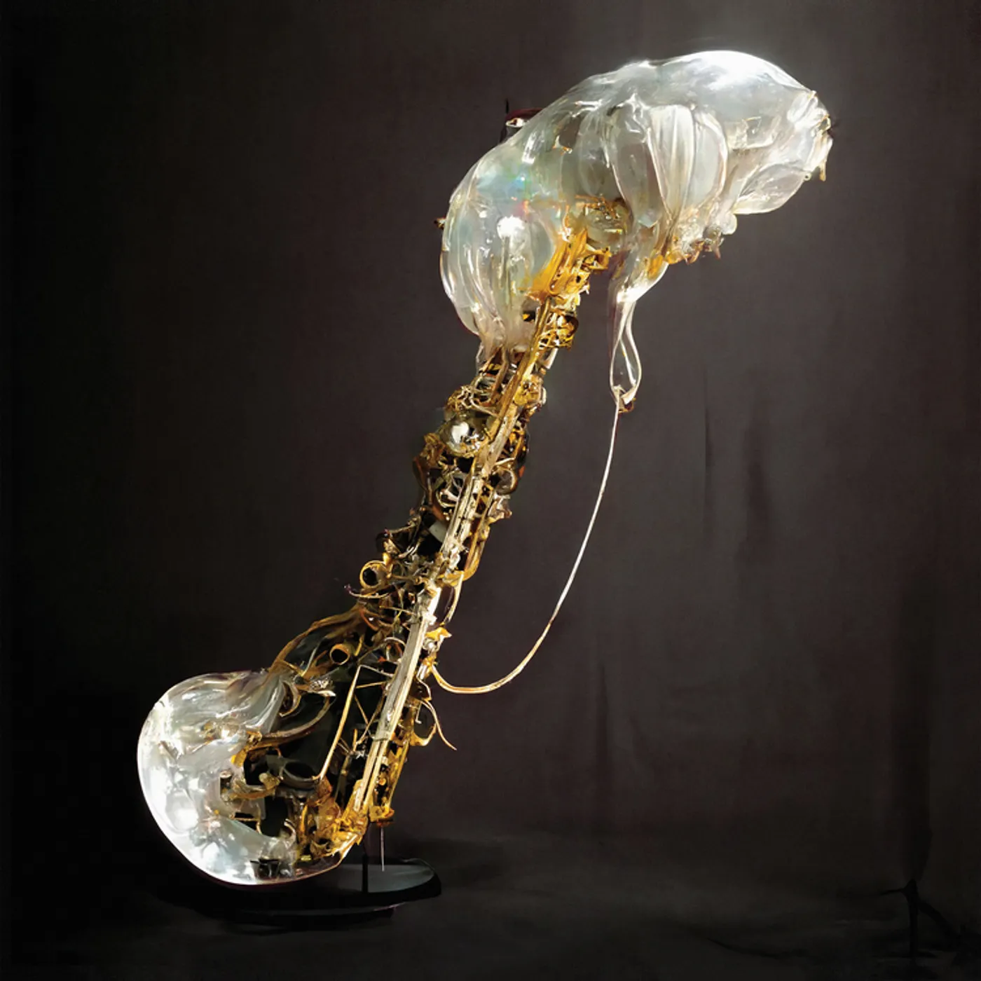 Sam Gendel Cookup CD