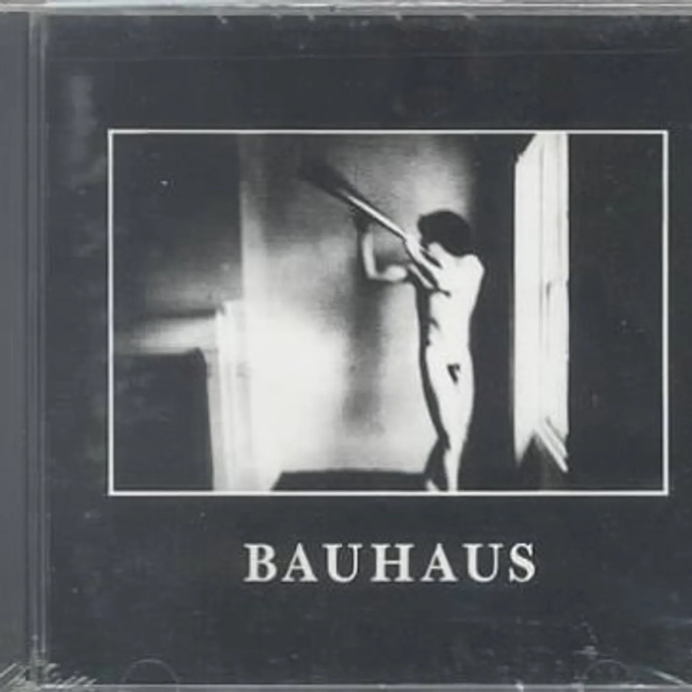 Bauhaus IN THE FLAT FIELD CD