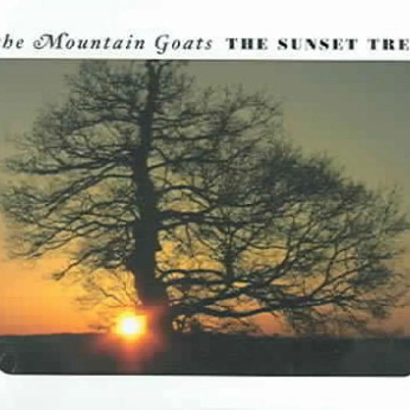 The Mountain Goats SUNSET TREE CD