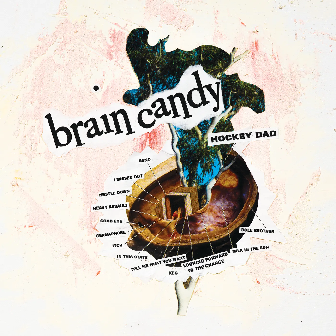 Hockey Dad Brain Candy CD