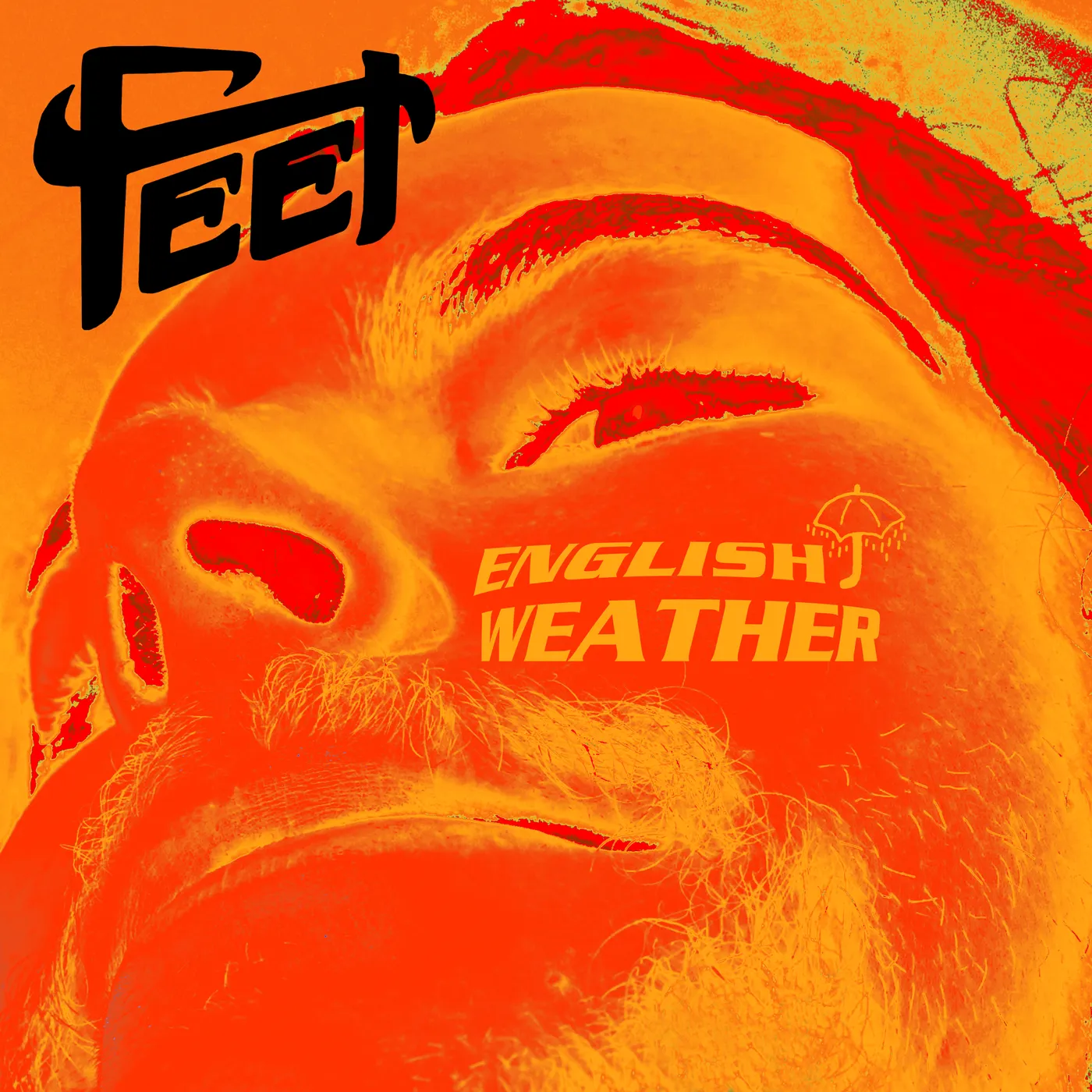FEET English Weather Vinyl Record