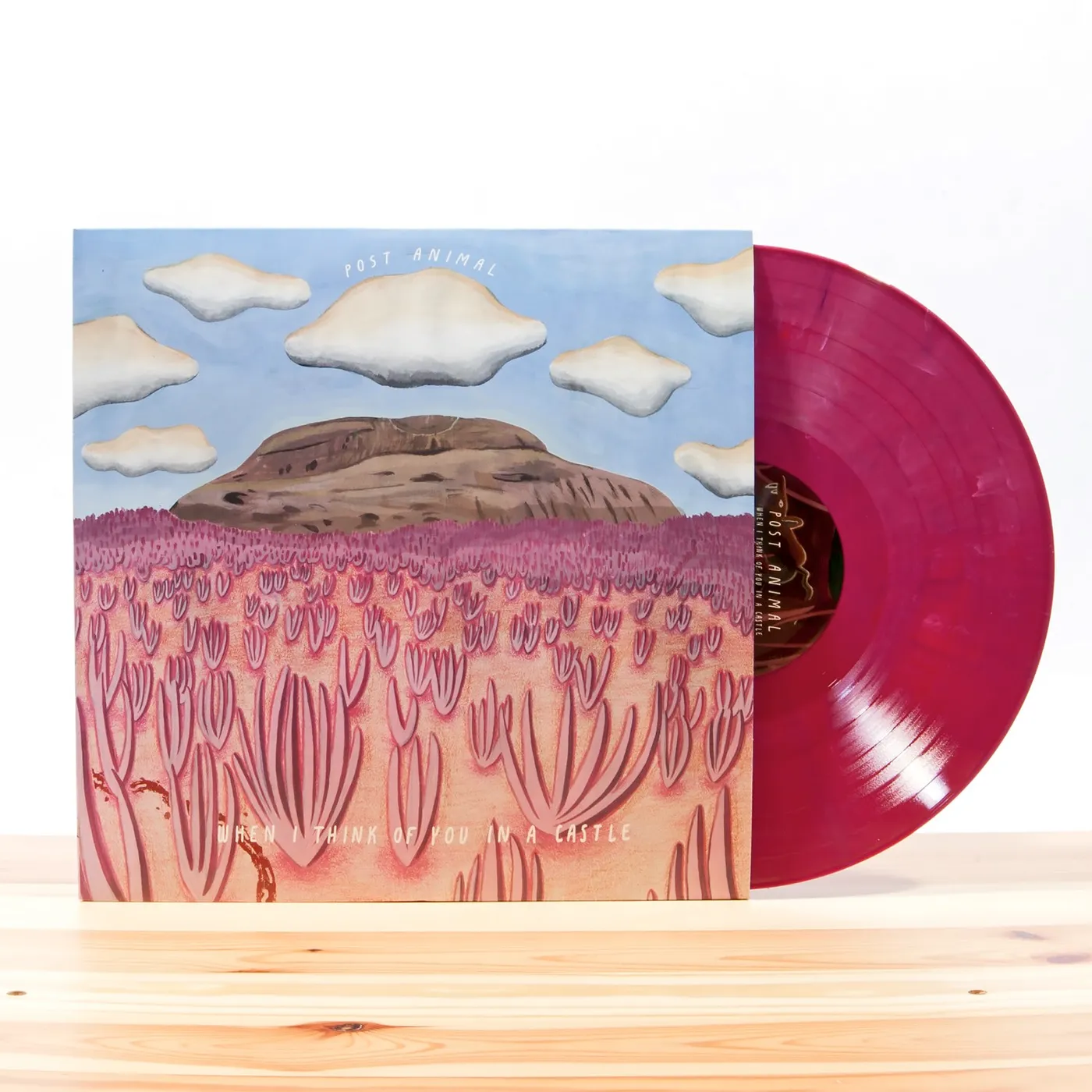 Post Animal When I Think of You in a Castle Vinyl Record