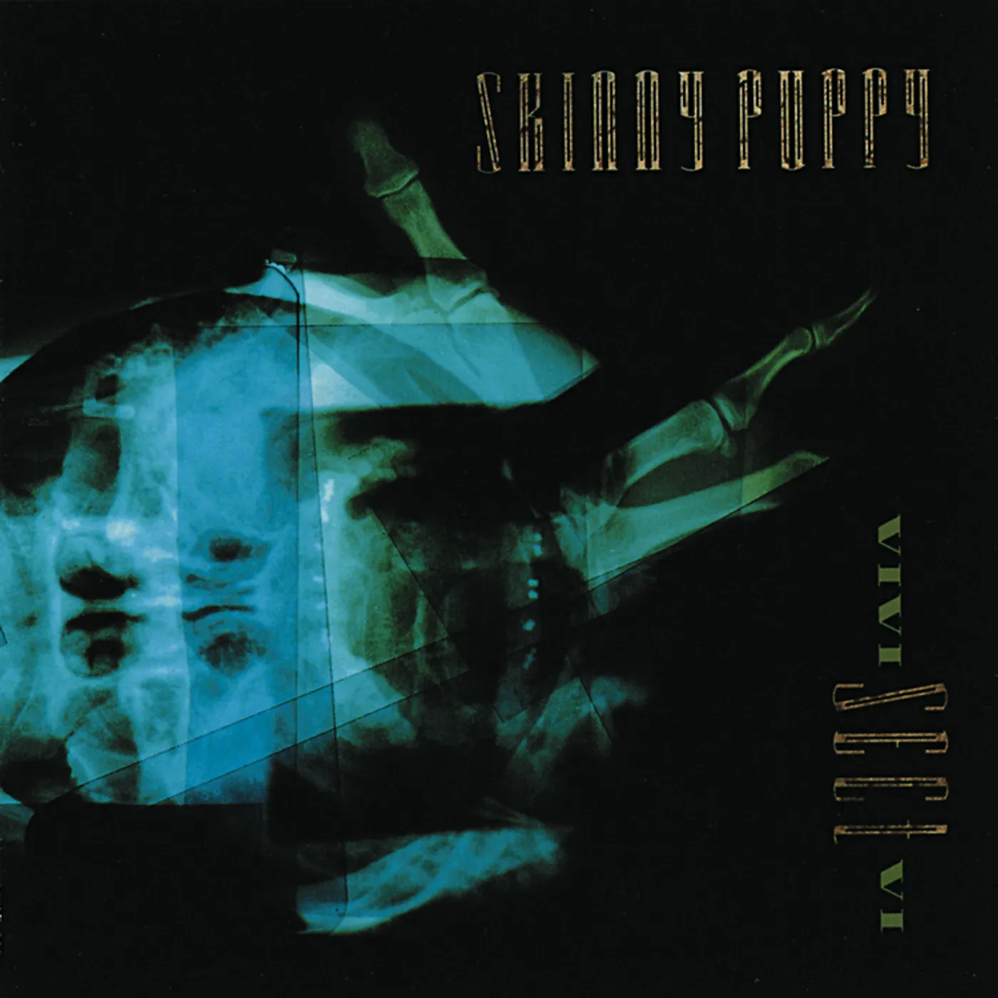 Skinny Puppy VIVI Sect VI Vinyl Record