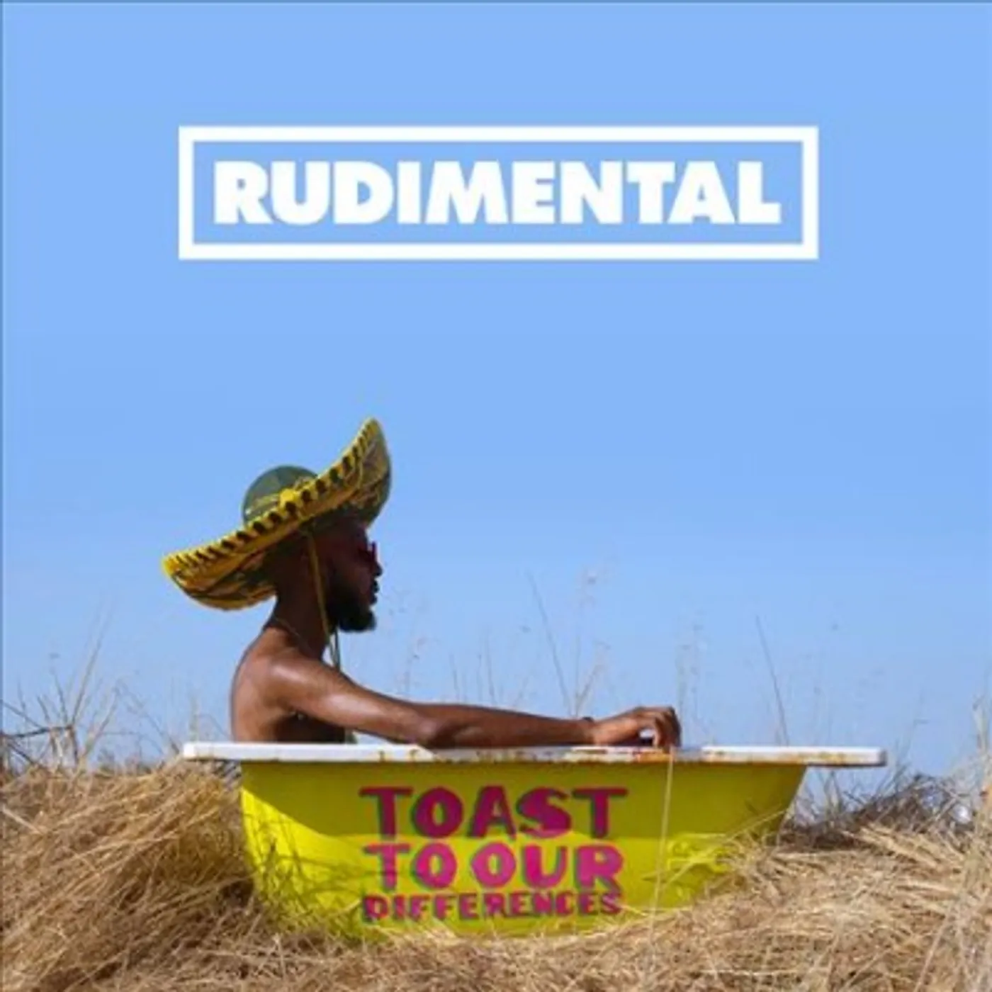 Rudimental Toast to Our Differences Vinyl Record